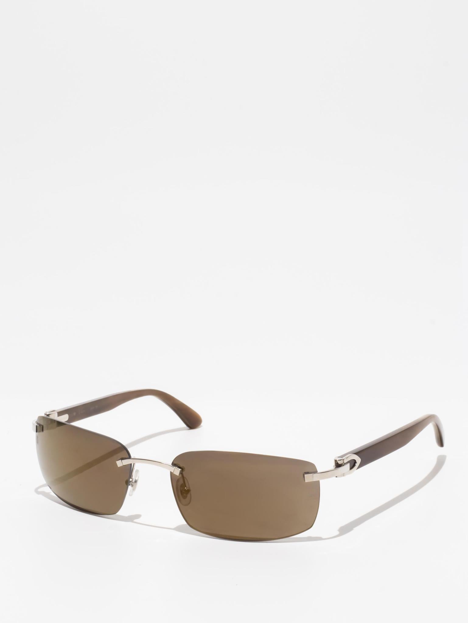 CT0046S 002 C DÉCOR BUFFALO HORN SUNGLASSES