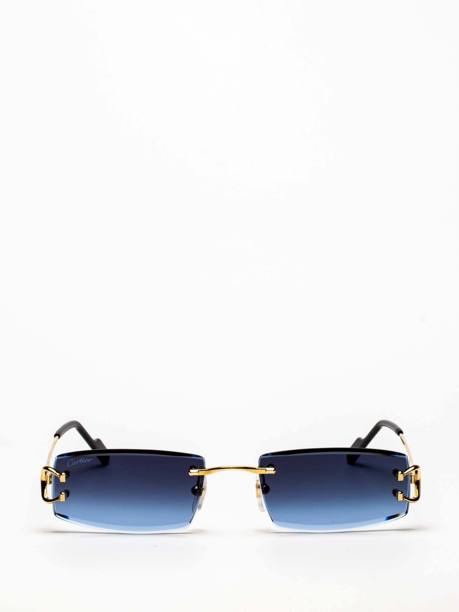 CT0465S 002 C DÉCOR SUNGLASSES