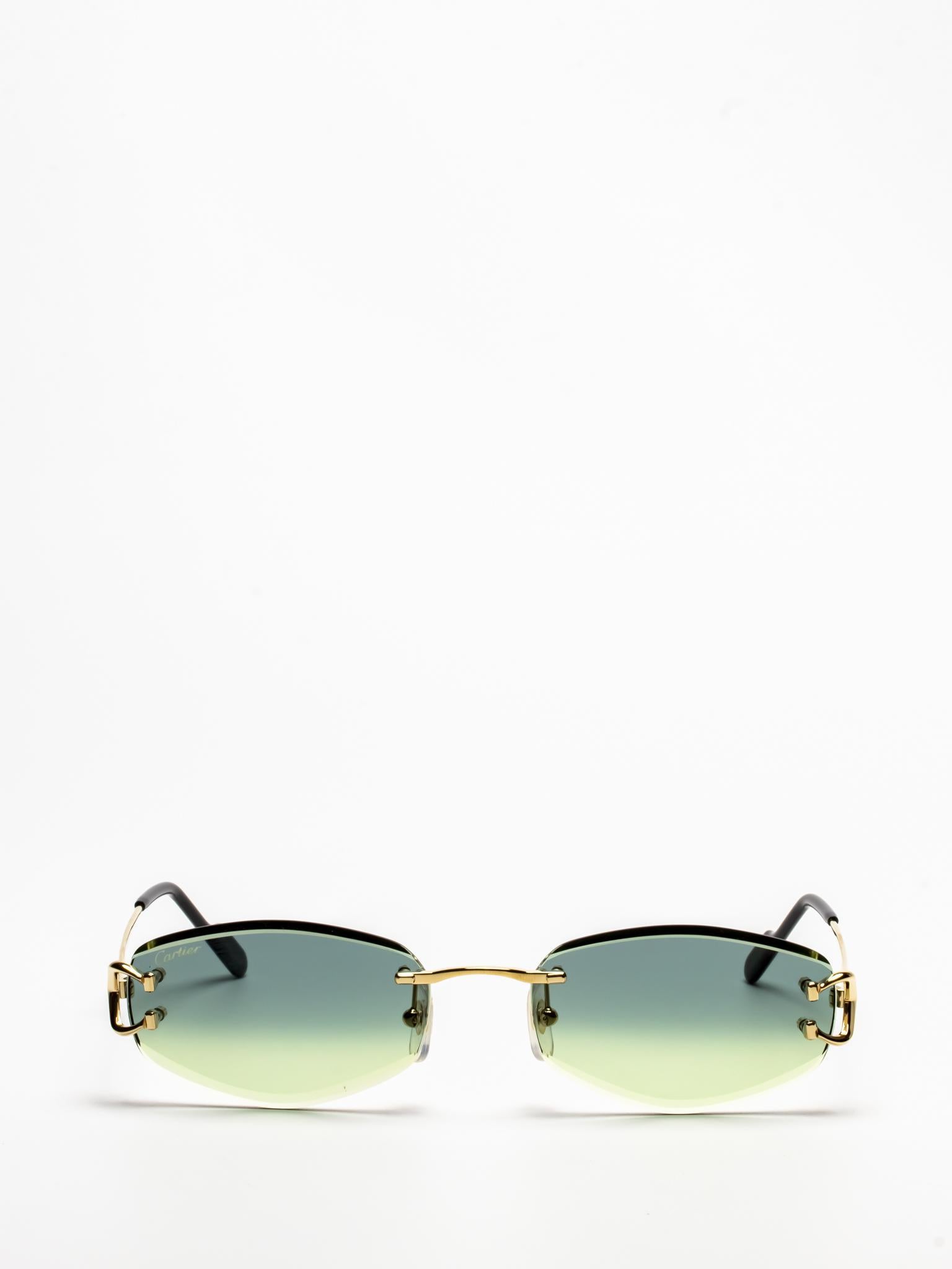 CT0467S 003 | C DÉCOR SUNGLASSES