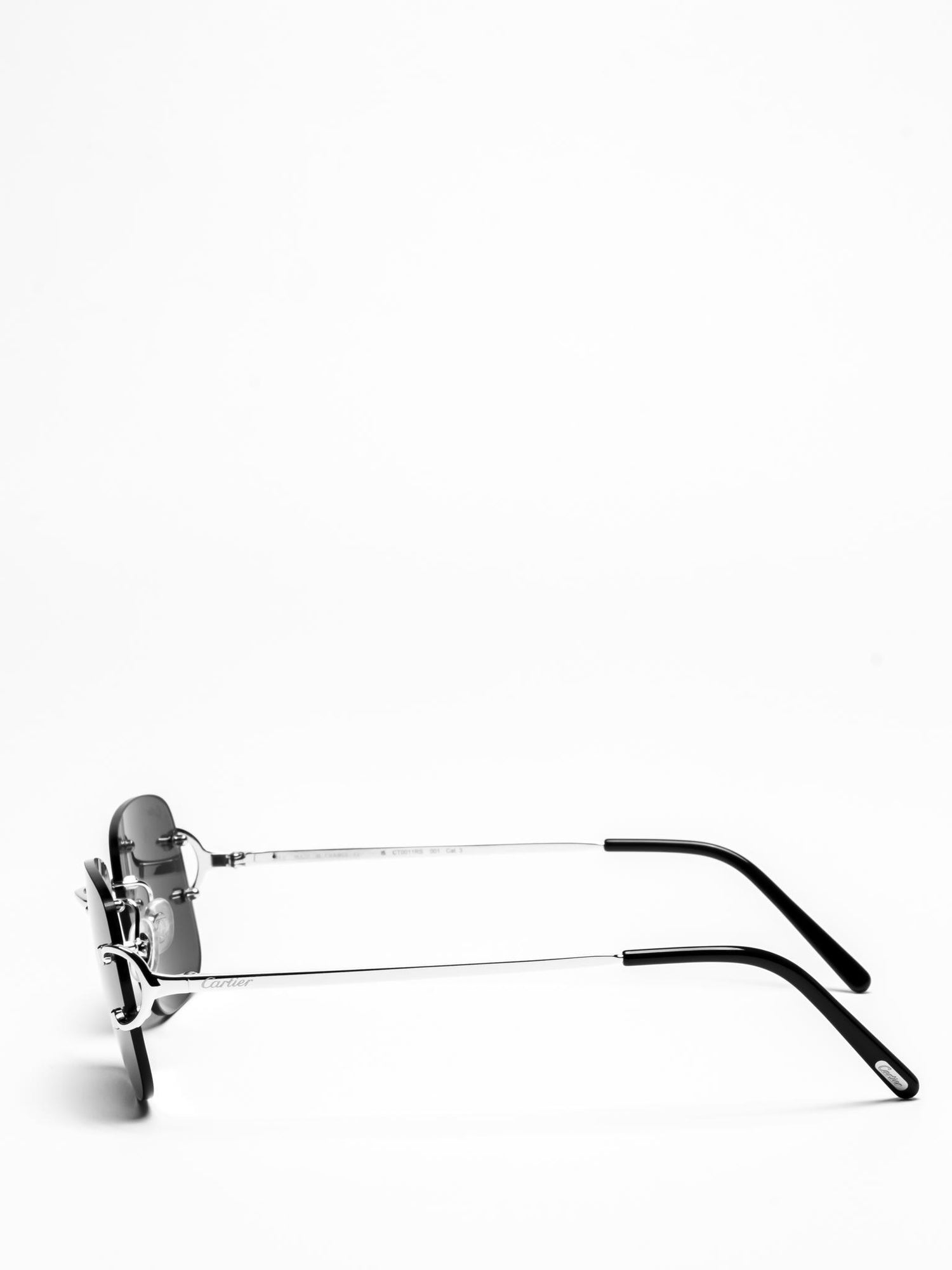 CT0011RS 001 | C DÉCOR SUNGLASSES