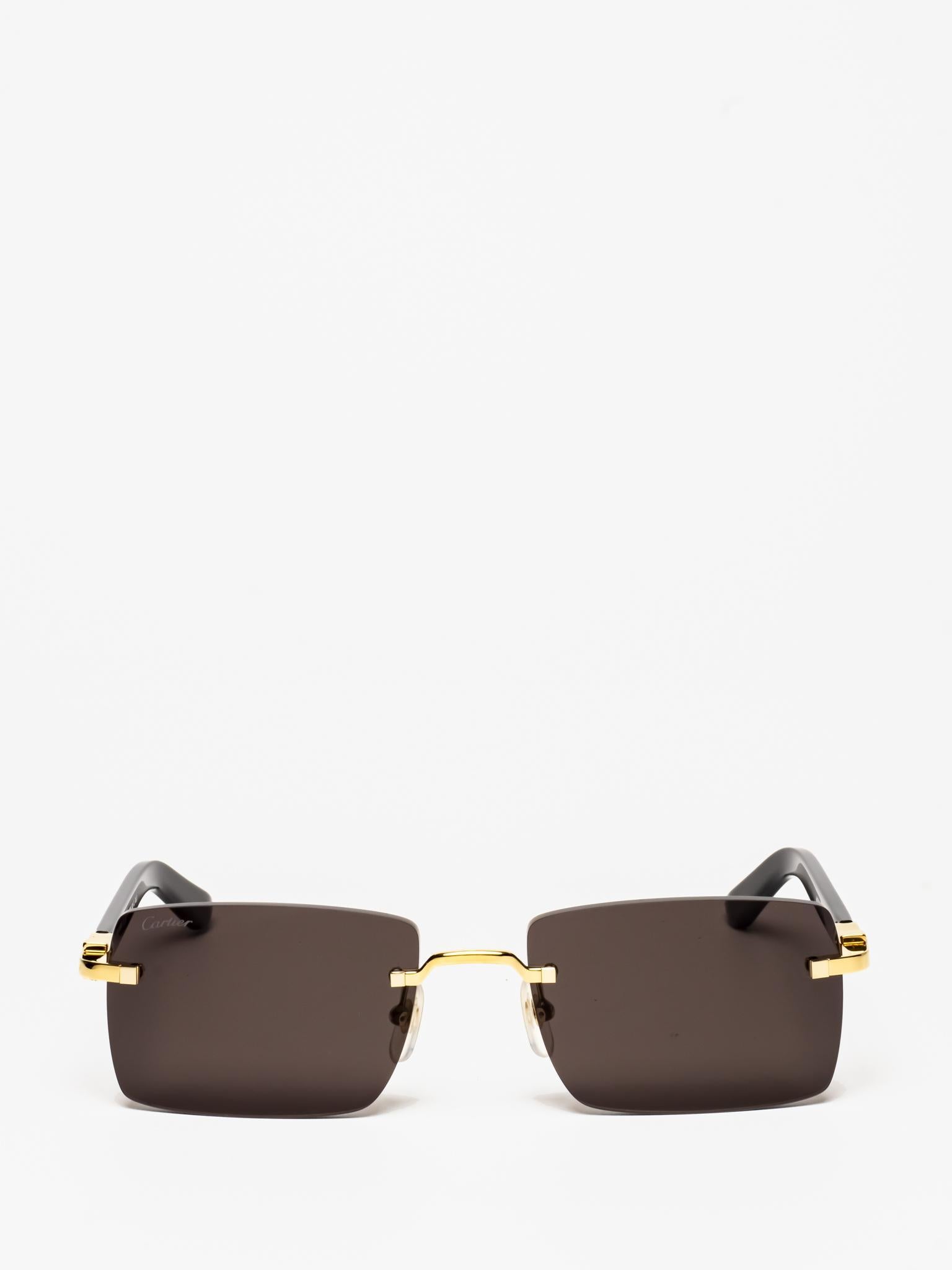 CT0579S 005 C DÉCOR SUNGLASSES
