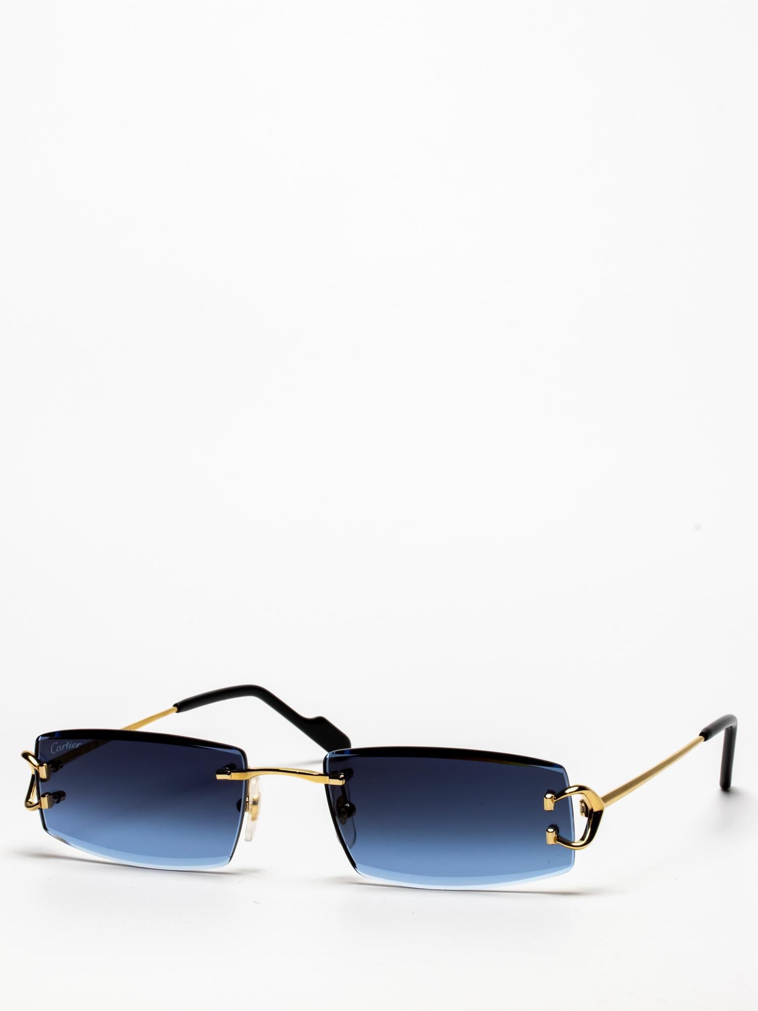 CT0465S 002 C DÉCOR SUNGLASSES