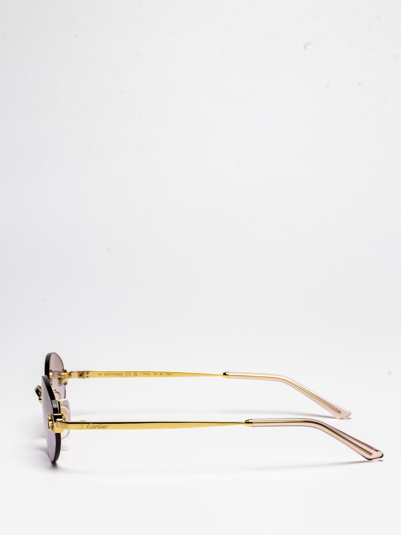 CT0592S 003 | C DÉCOR SUNGLASSES