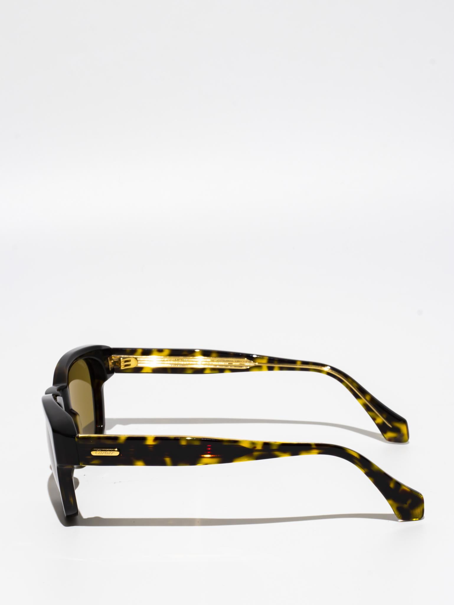 CT0278S 002 | C DÉCOR SUNGLASSES