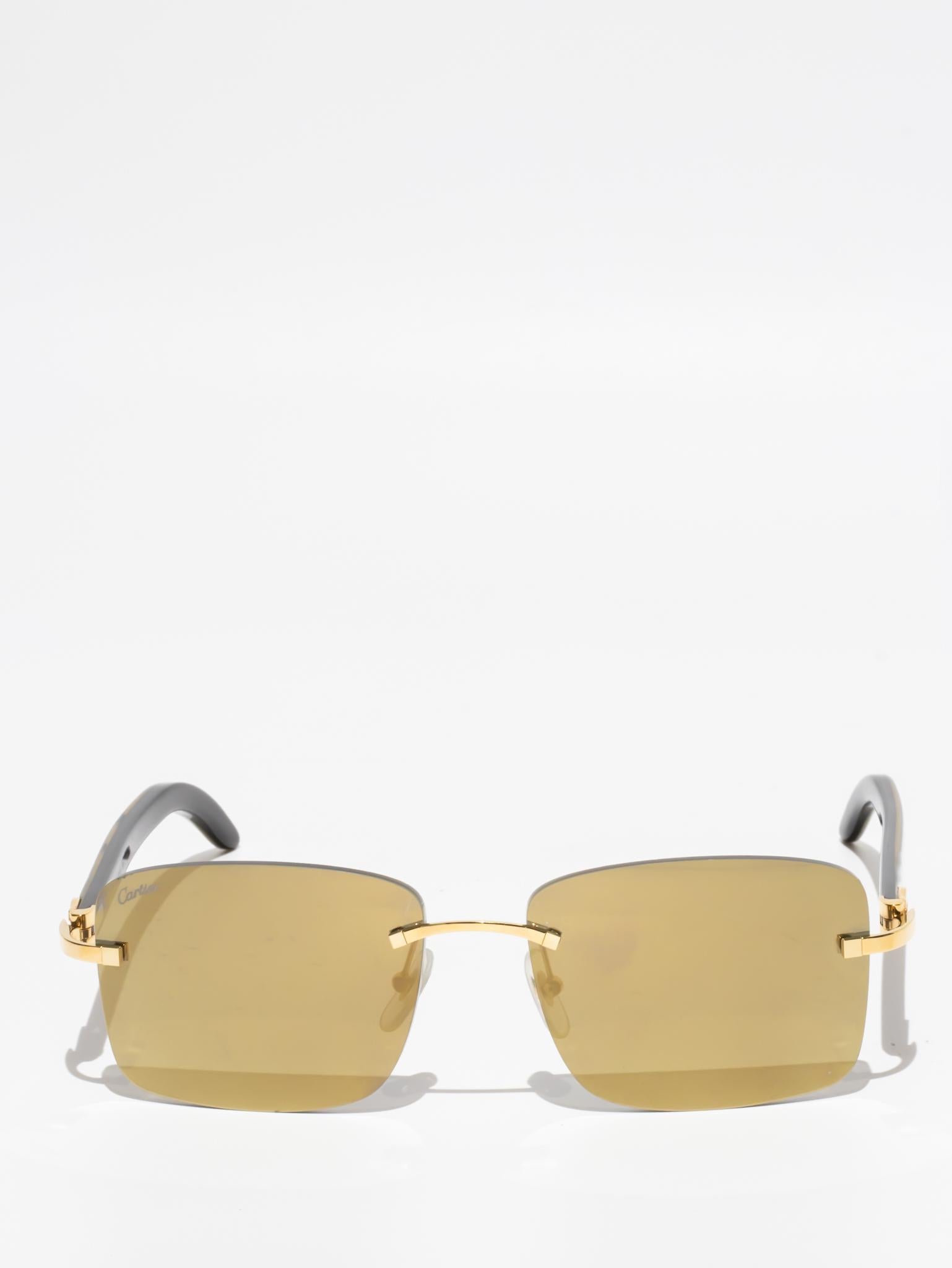 CT0030RS 001 C DÉCOR BUFFALO HORN SUNGLASSES