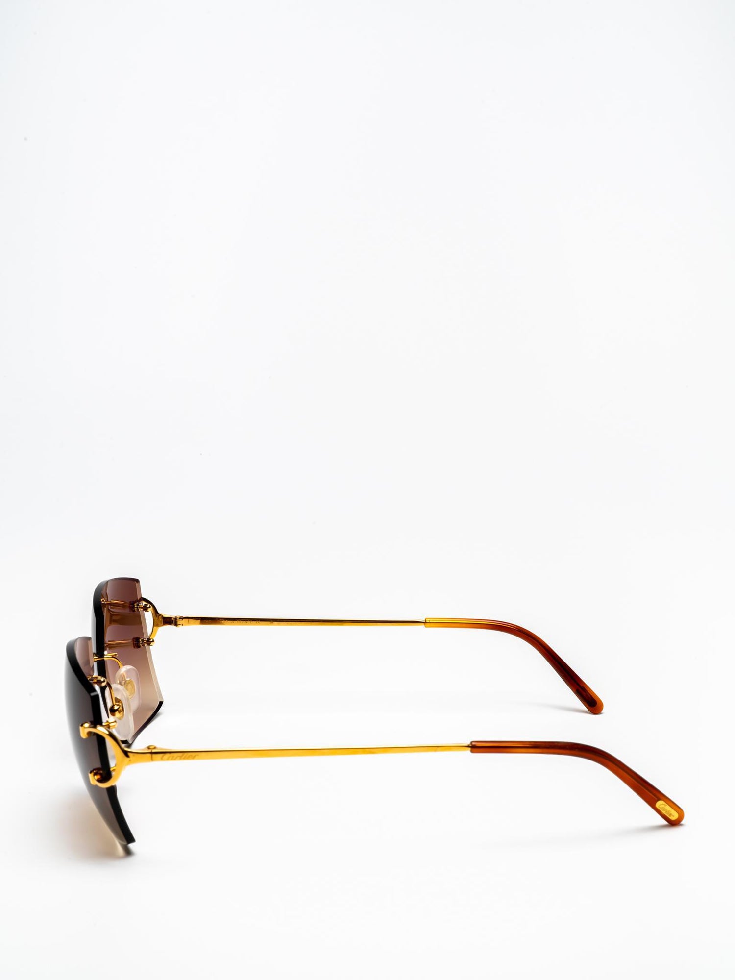 CT0009RS 001 | C DÉCOR SUNGLASSES
