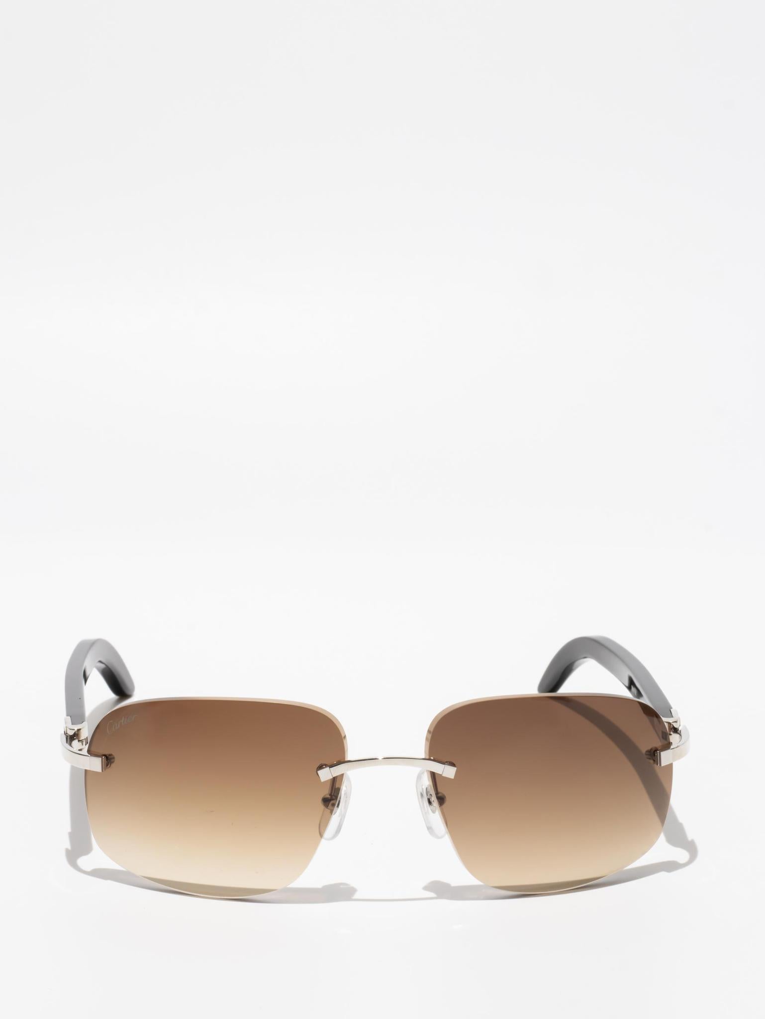 CT0023RS 001 C DÉCOR BUFFALO HORN SUNGLASSES