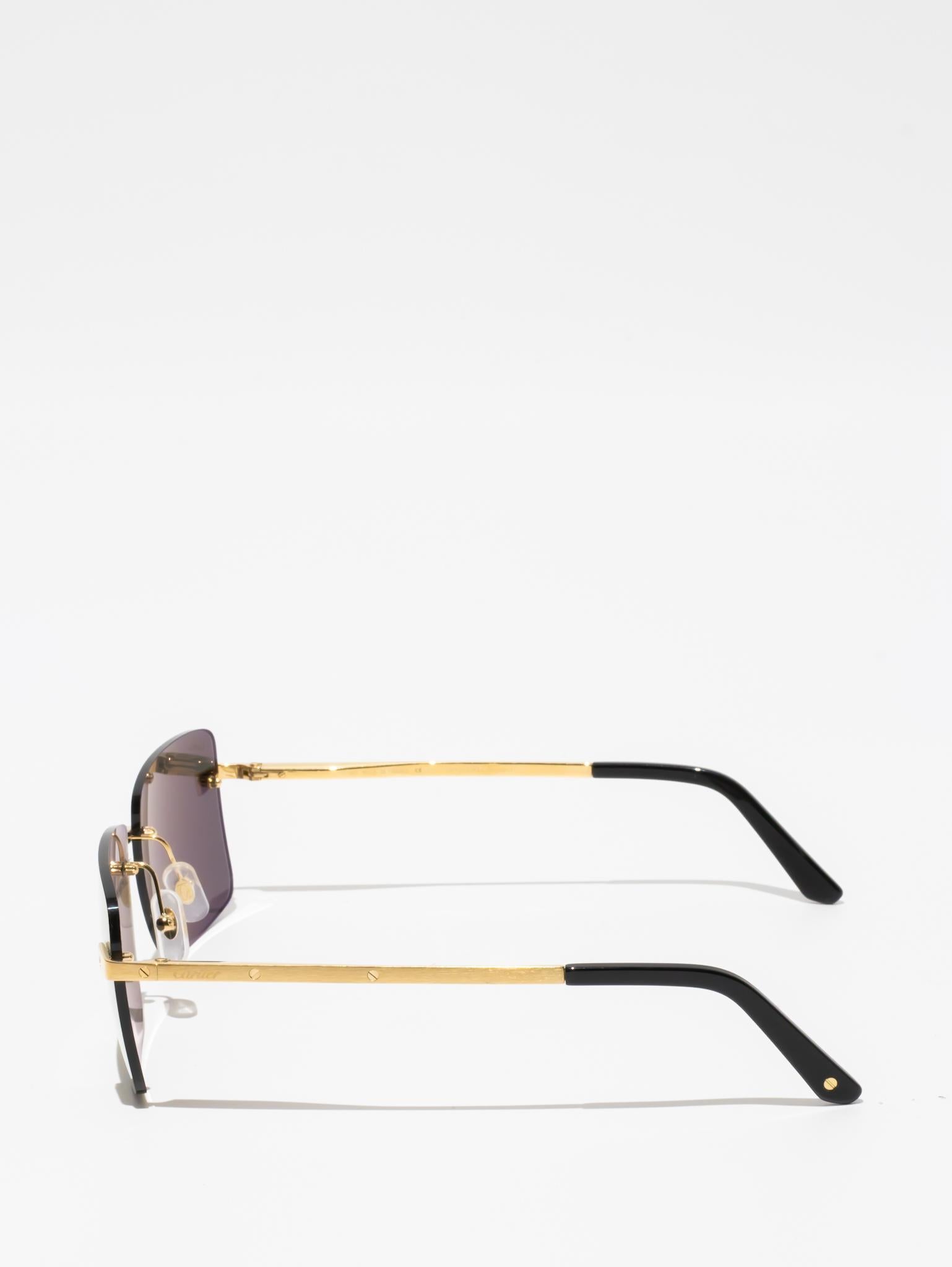 CT0033RS 001 | SANTOS DE CARTIER SUNGLASSES