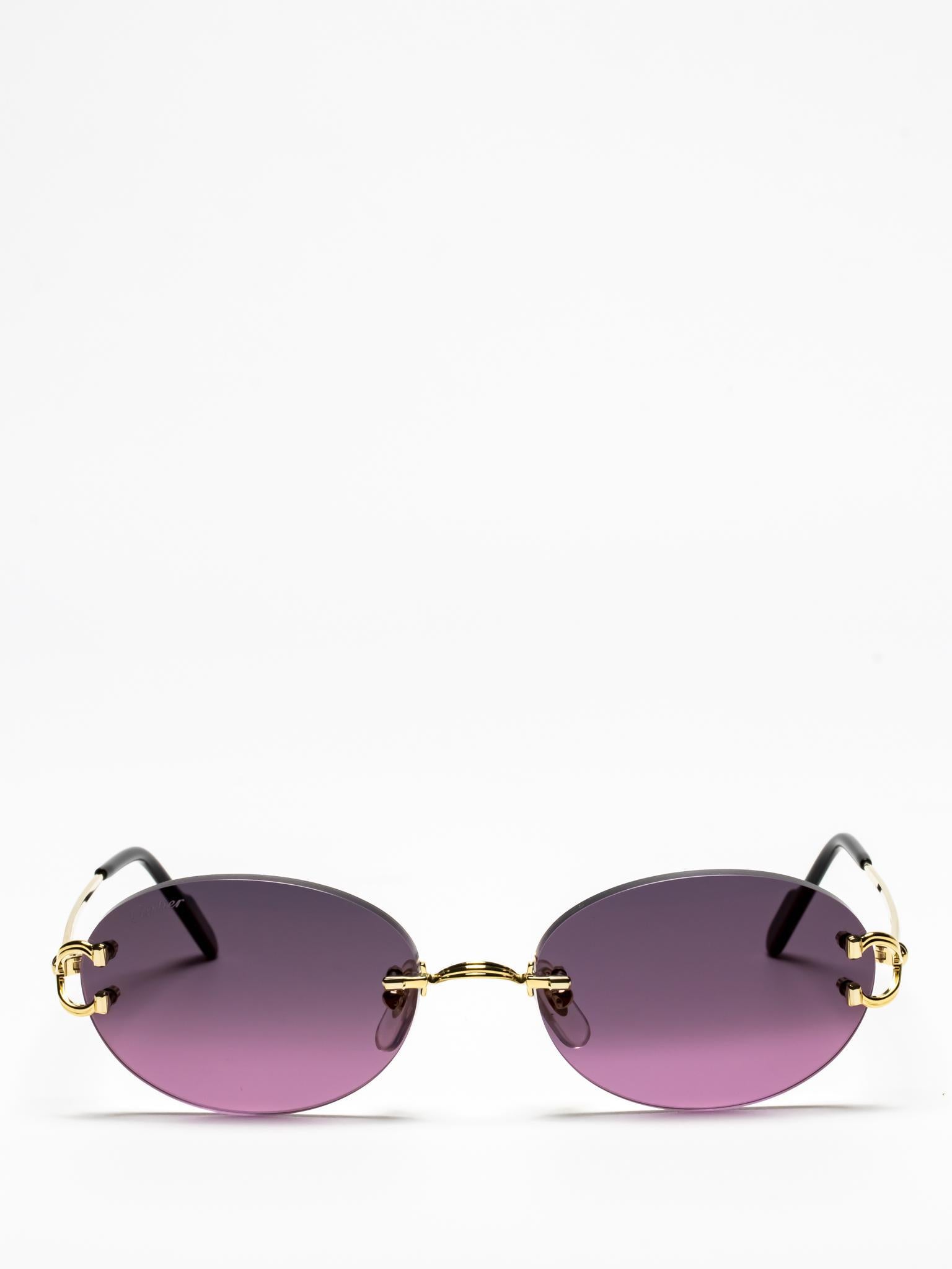 CT0551S 004 C DÉCOR SUNGLASSES