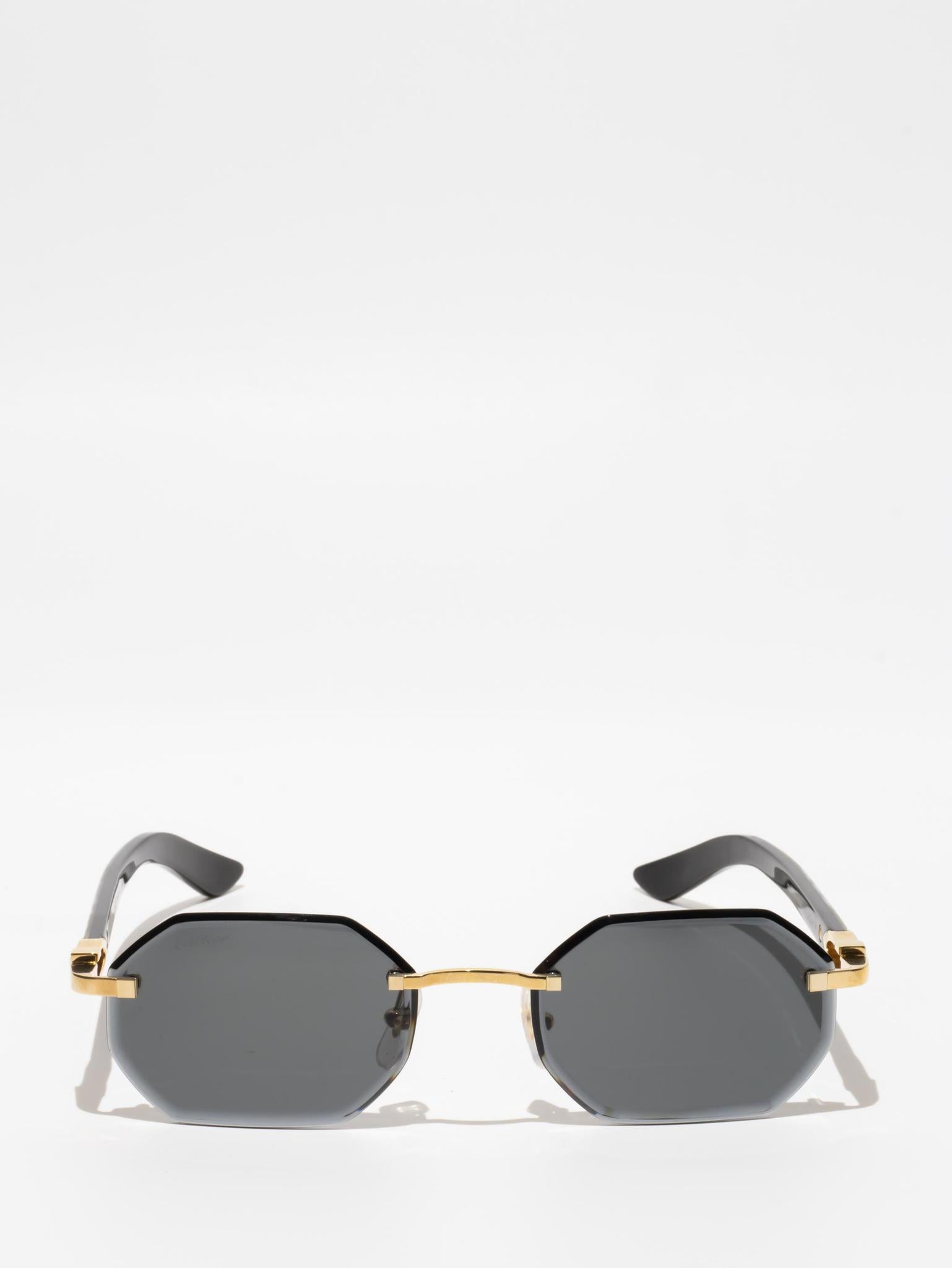 CT0439S 002 C DÉCOR BUFFALO HORN SUNGLASSES