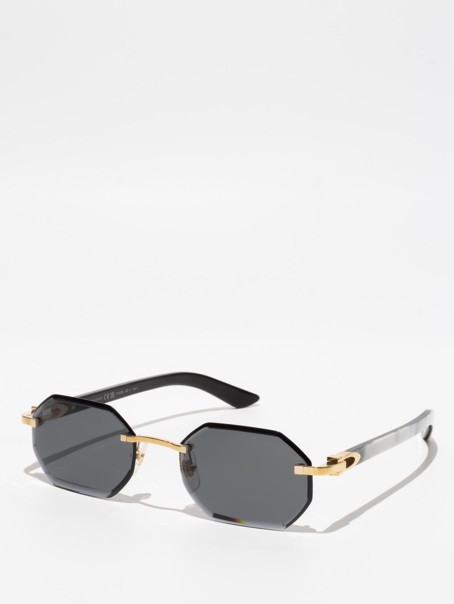 CT0439S 002 C DÉCOR BUFFALO HORN SUNGLASSES