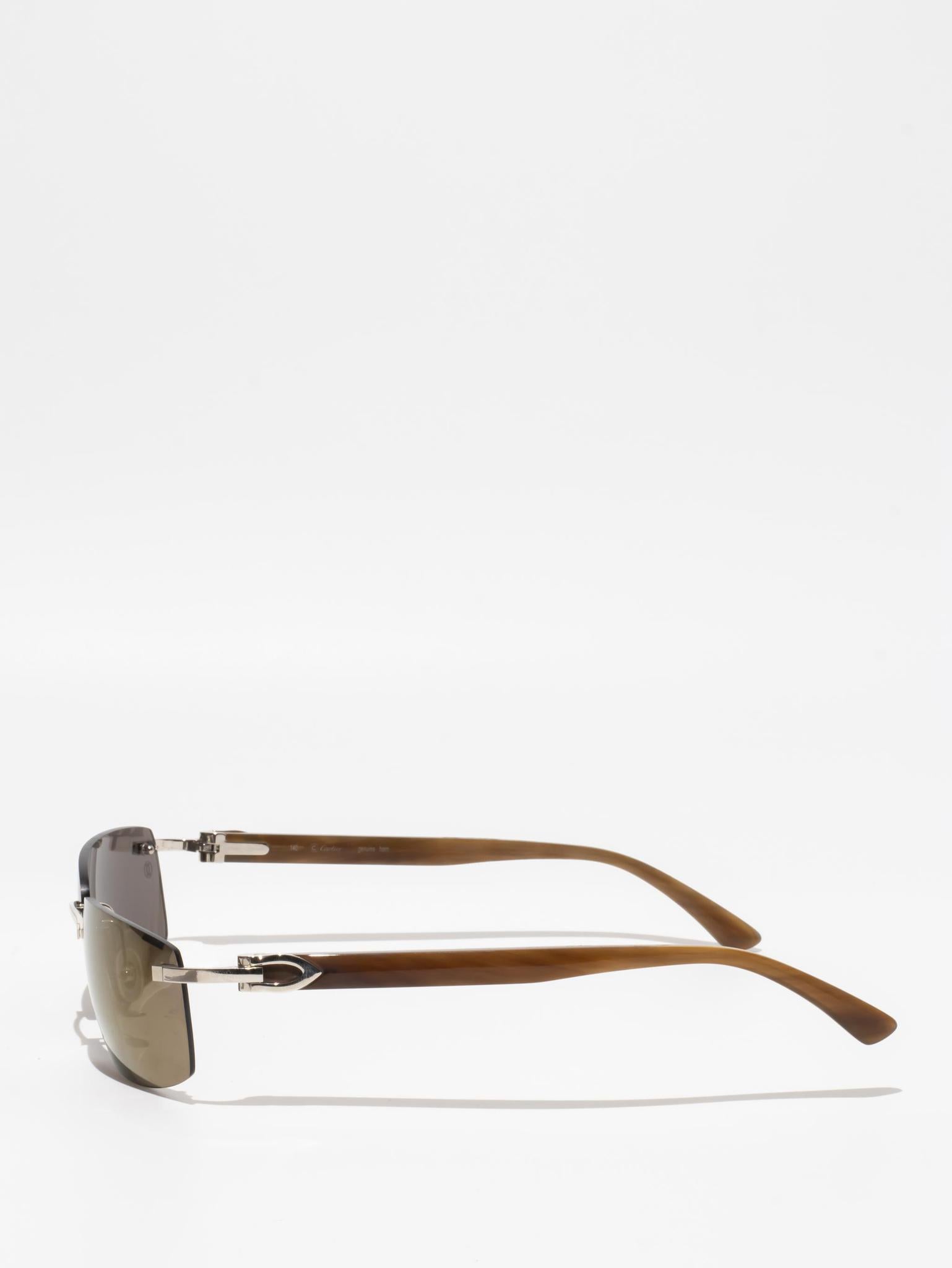CT0046S 002 C DÉCOR BUFFALO HORN SUNGLASSES