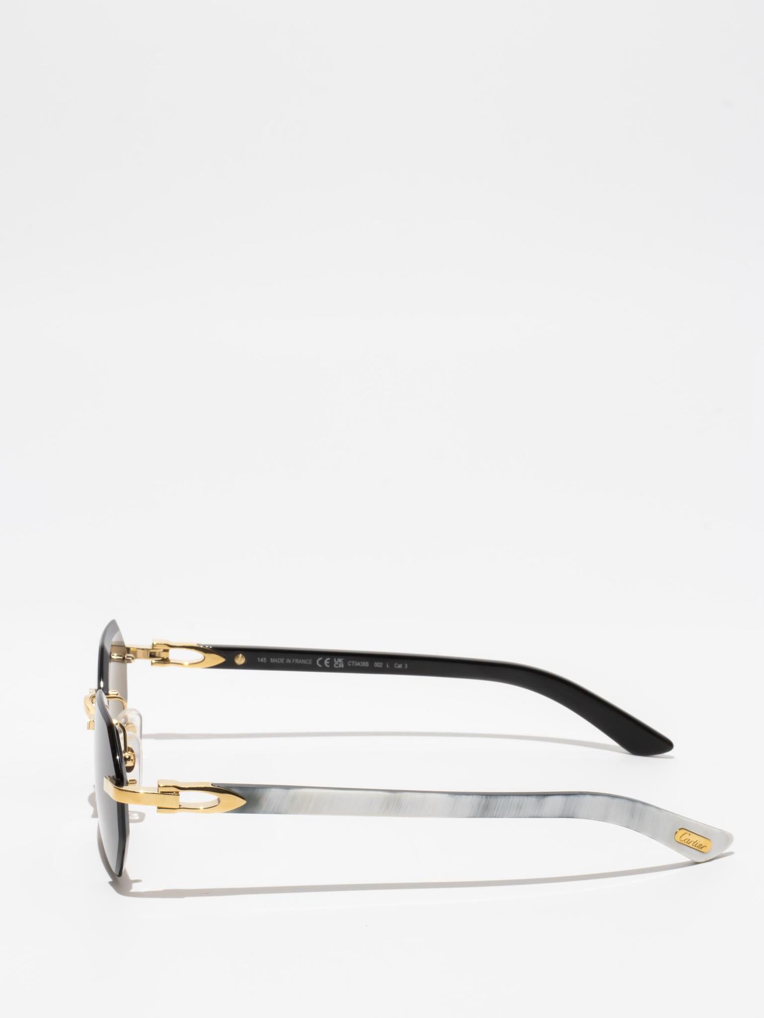 CT0439S 002 C DÉCOR BUFFALO HORN SUNGLASSES