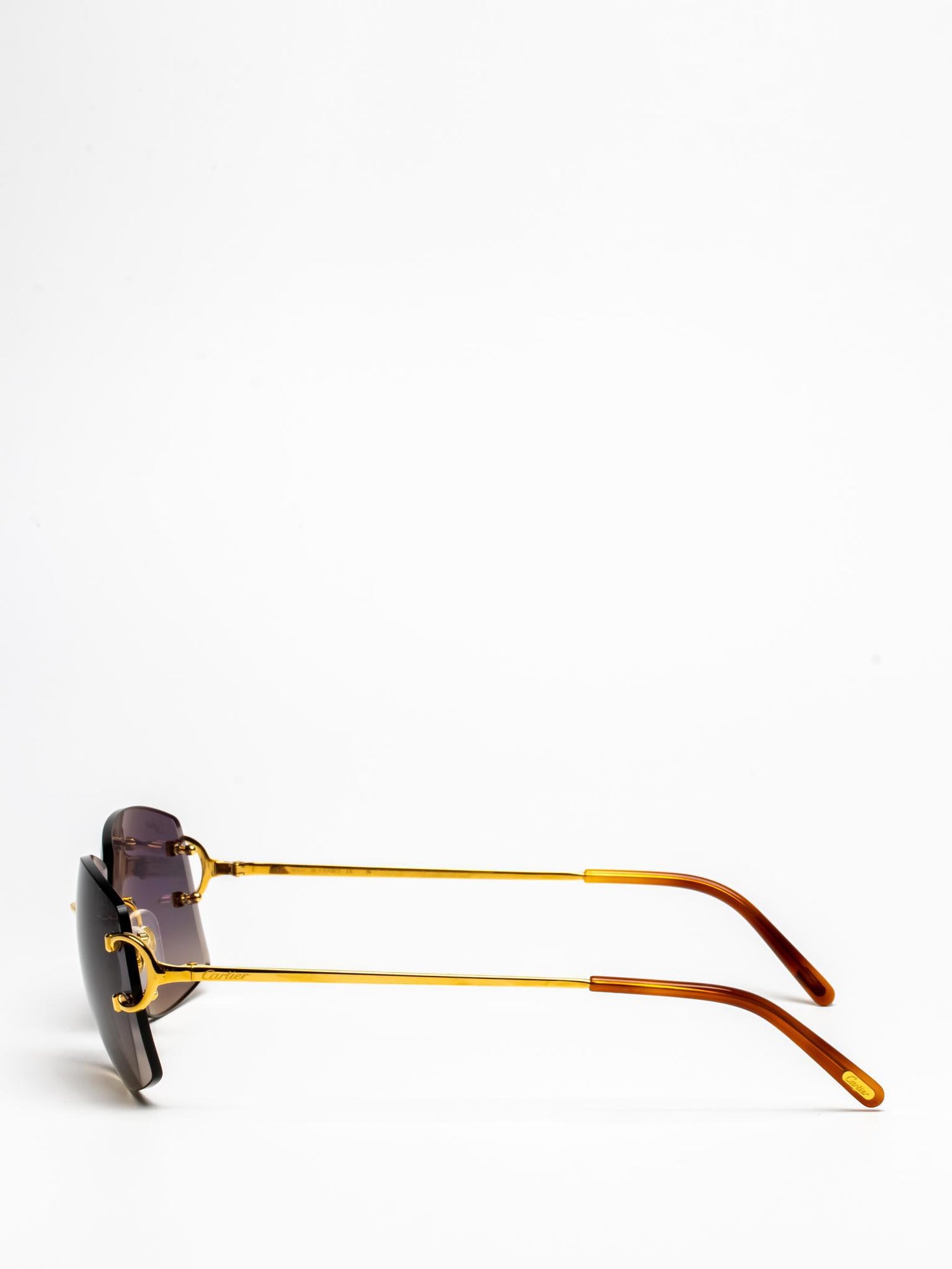 CT0008RS 001 | C DÉCOR SUNGLASSES