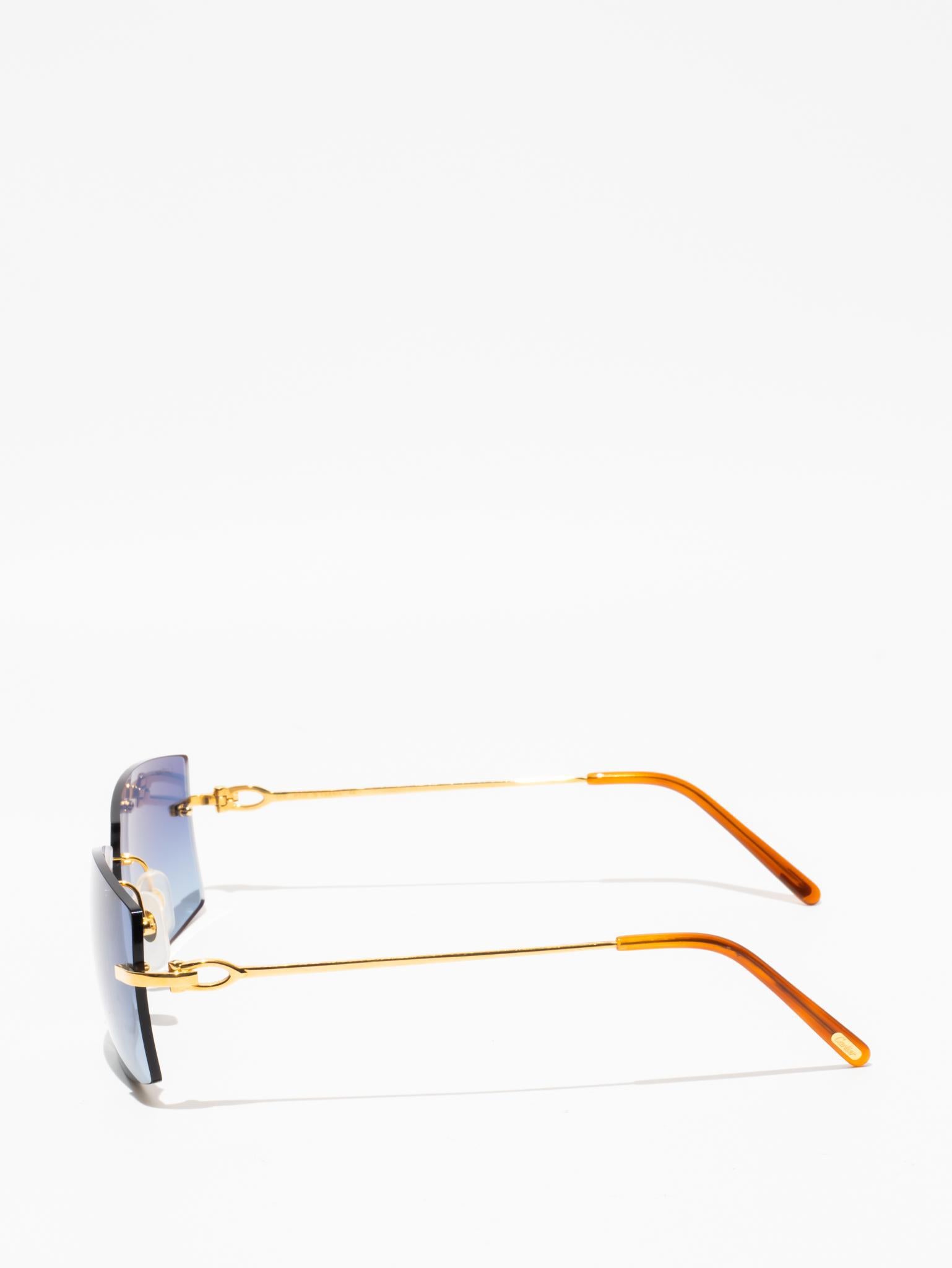 CT0005RS 001 C DÉCOR SUNGLASSES