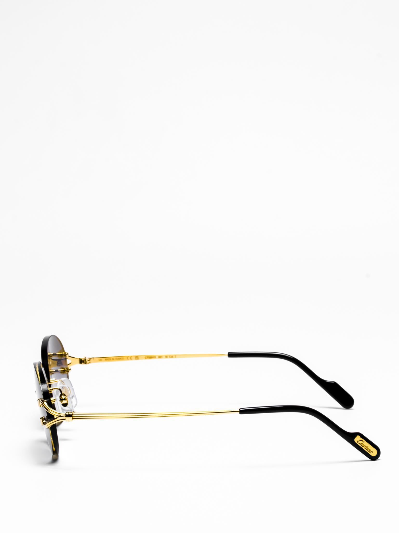 CT0551S 001 | C DÉCOR SUNGLASSES