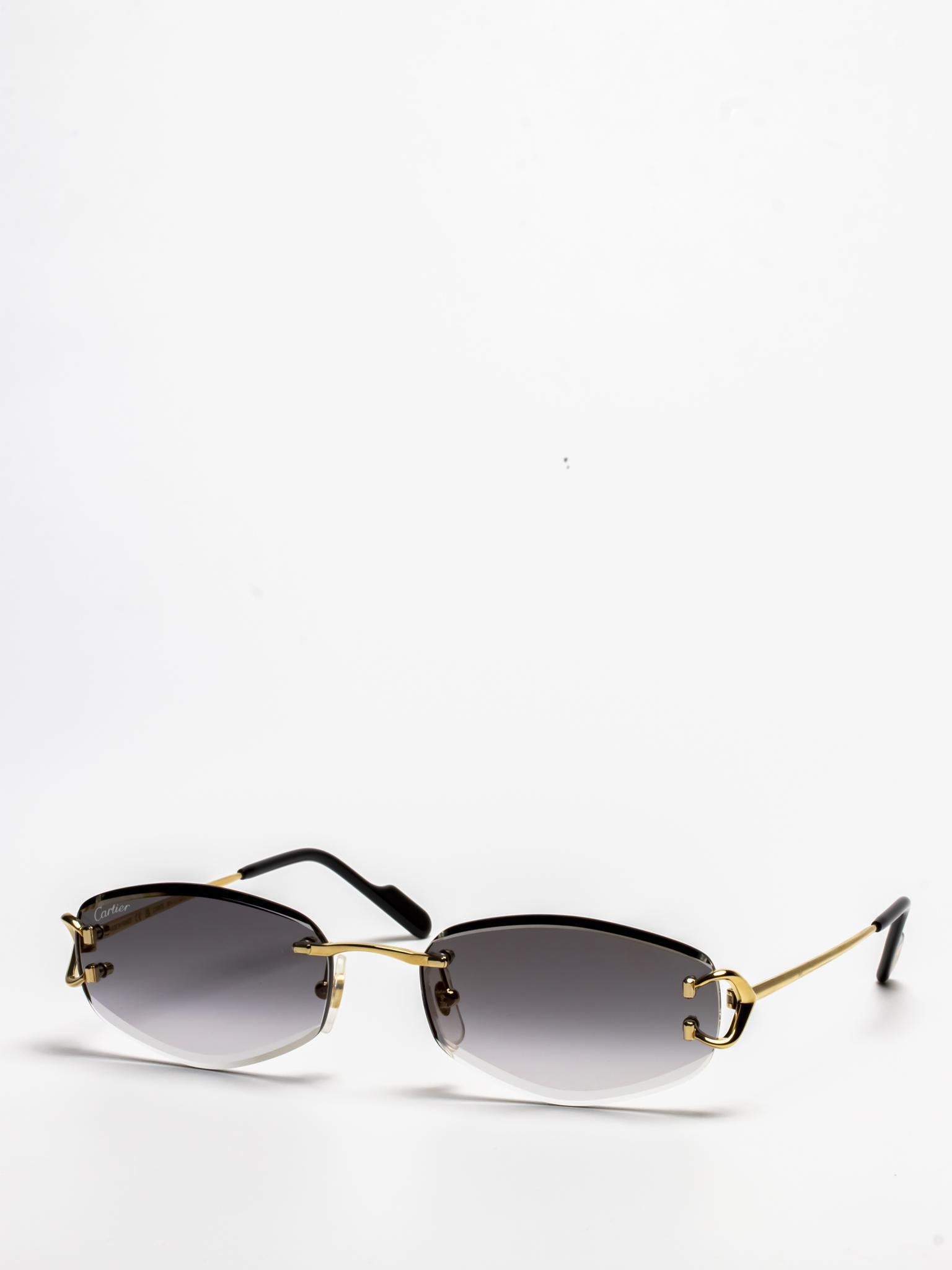 CT0467S 001 C DÉCOR SUNGLASSES – Hall of Frames Company