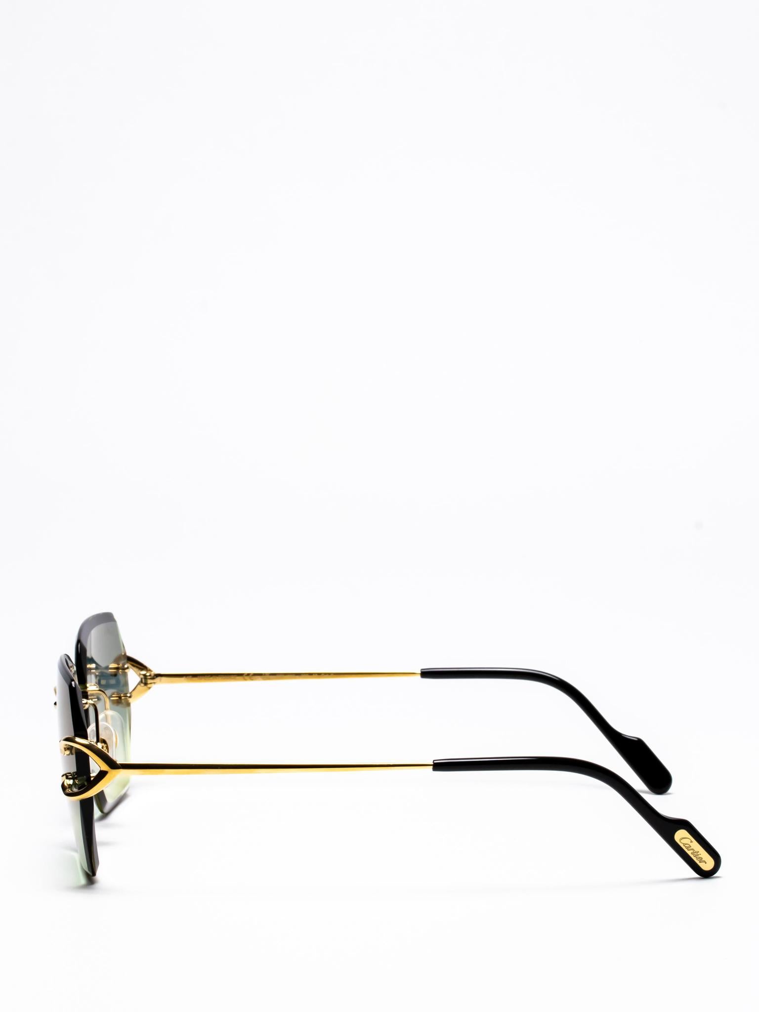 CT0466S 003 | C DÉCOR SUNGLASSES