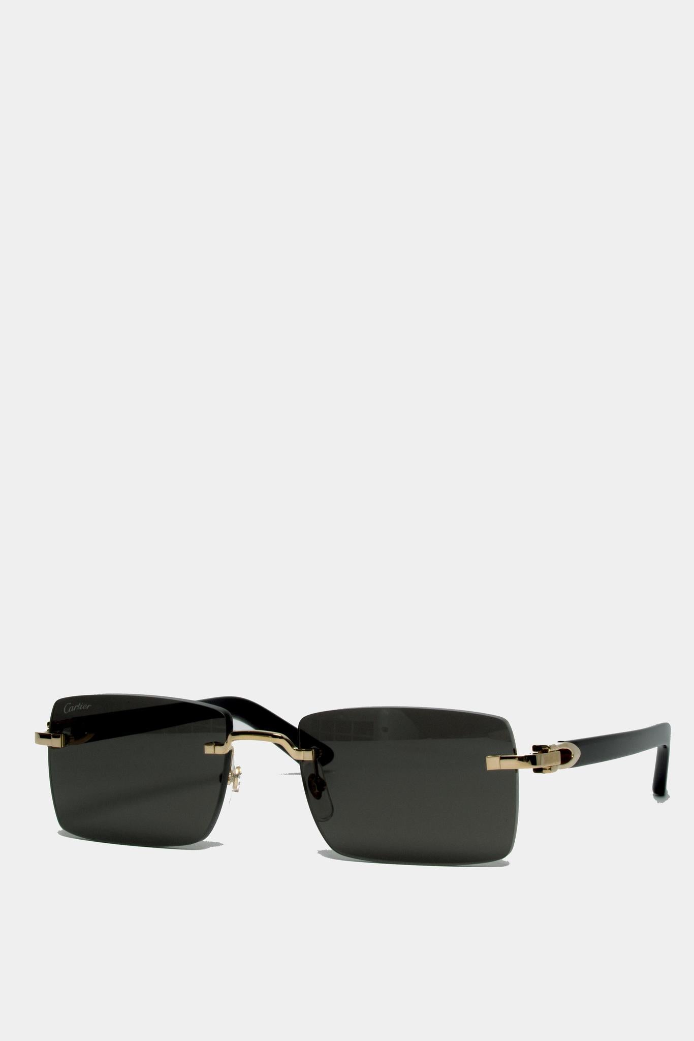 CT0579S 001 C DÉCOR SUNGLASSES