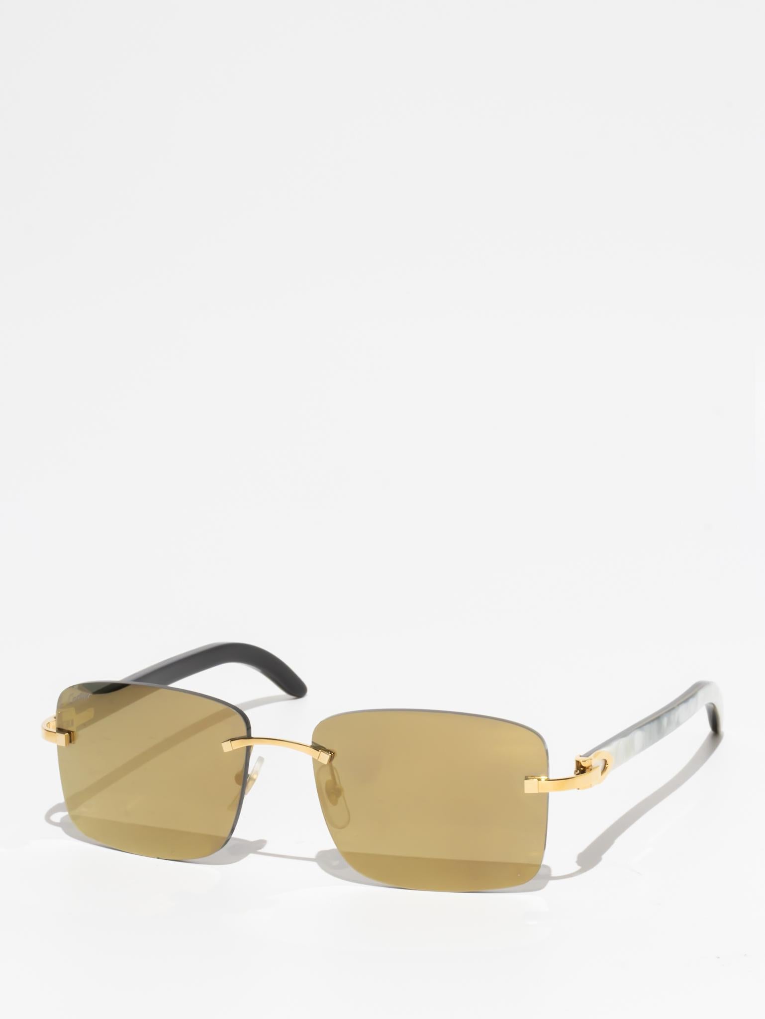 CT0030RS 001 C DÉCOR BUFFALO HORN SUNGLASSES