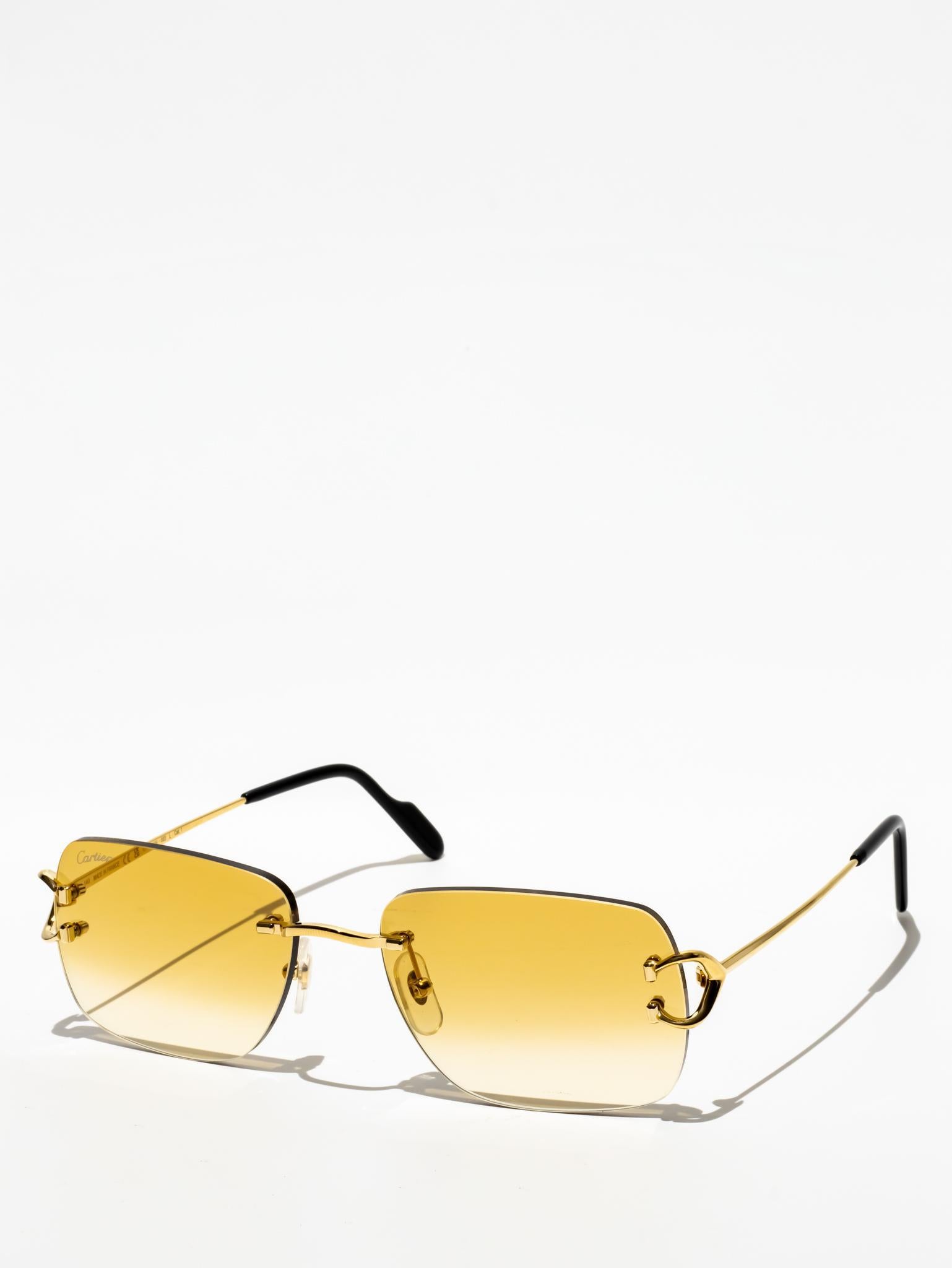 CT0330S 003 | C DÉCOR SUNGLASSES