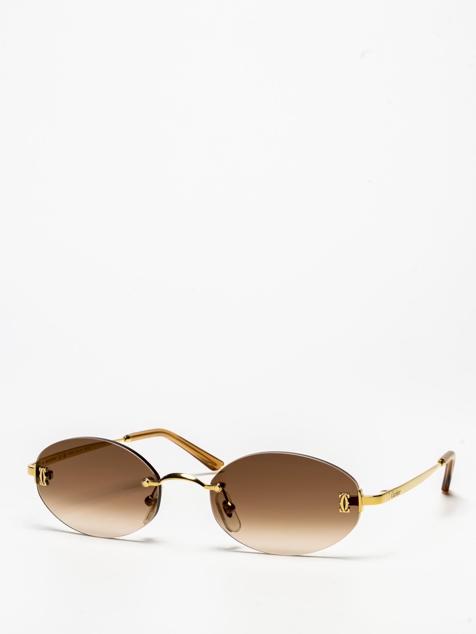 CT0592S 002 | C DÉCOR SUNGLASSES