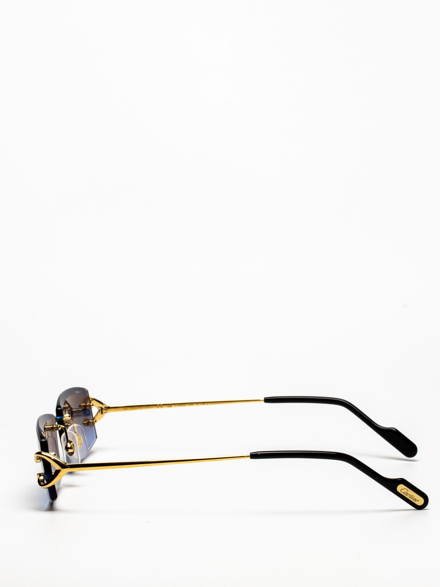 CT0465S 002 C DÉCOR SUNGLASSES