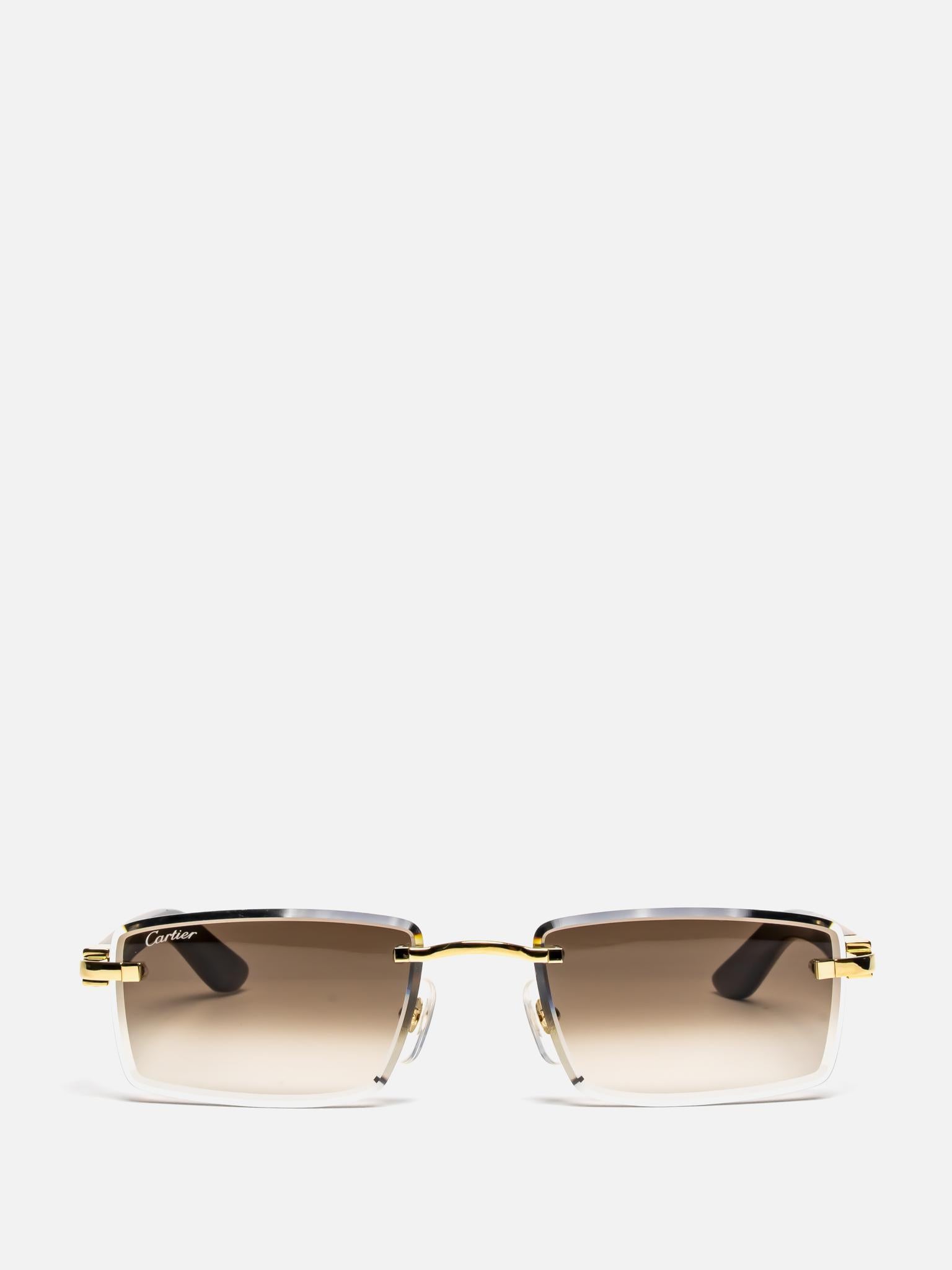 CT0582S 003 C DÉCOR WOOD SUNGLASSES