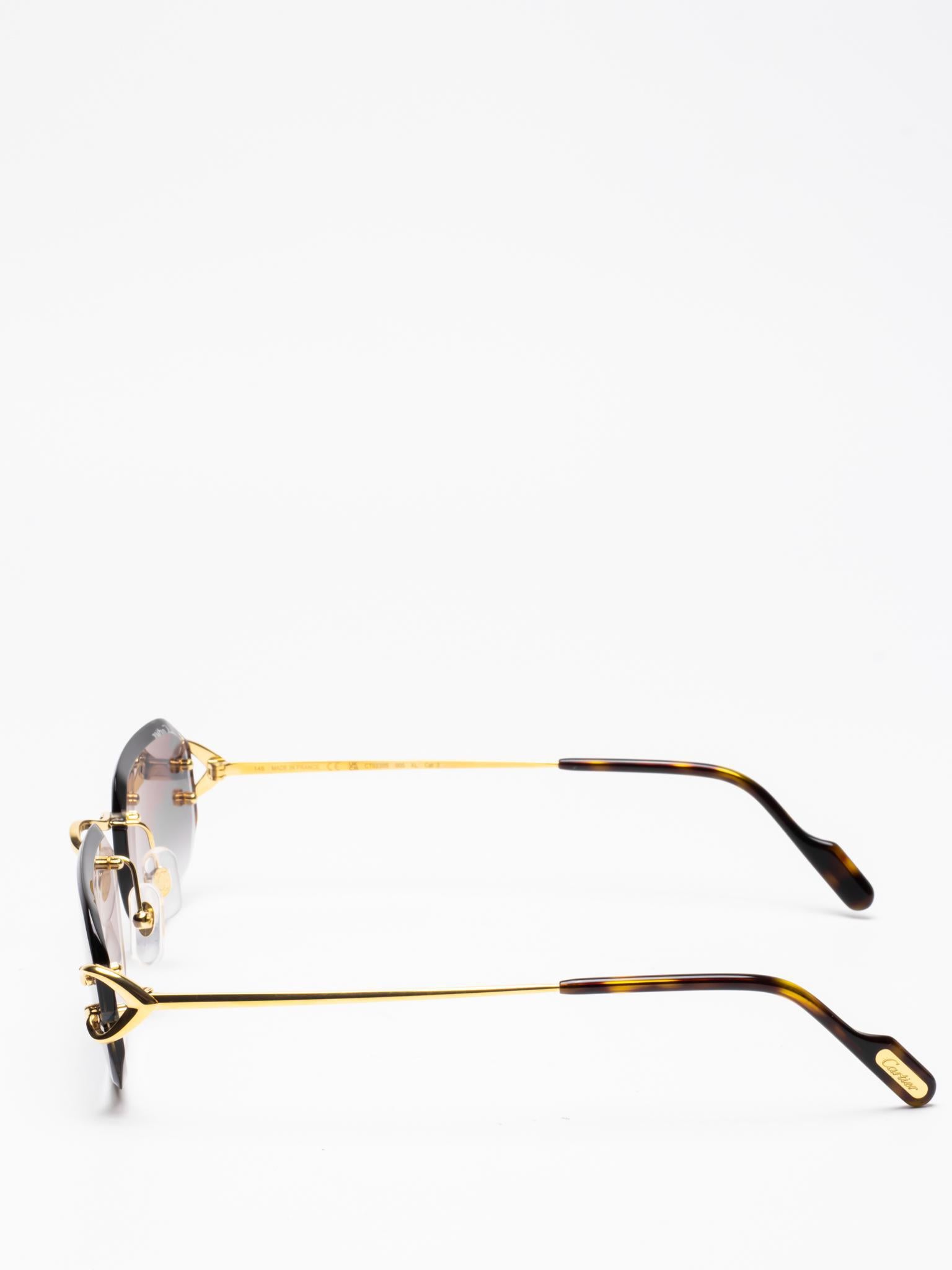 CT0468S 001 | C DÉCOR SUNGLASSES
