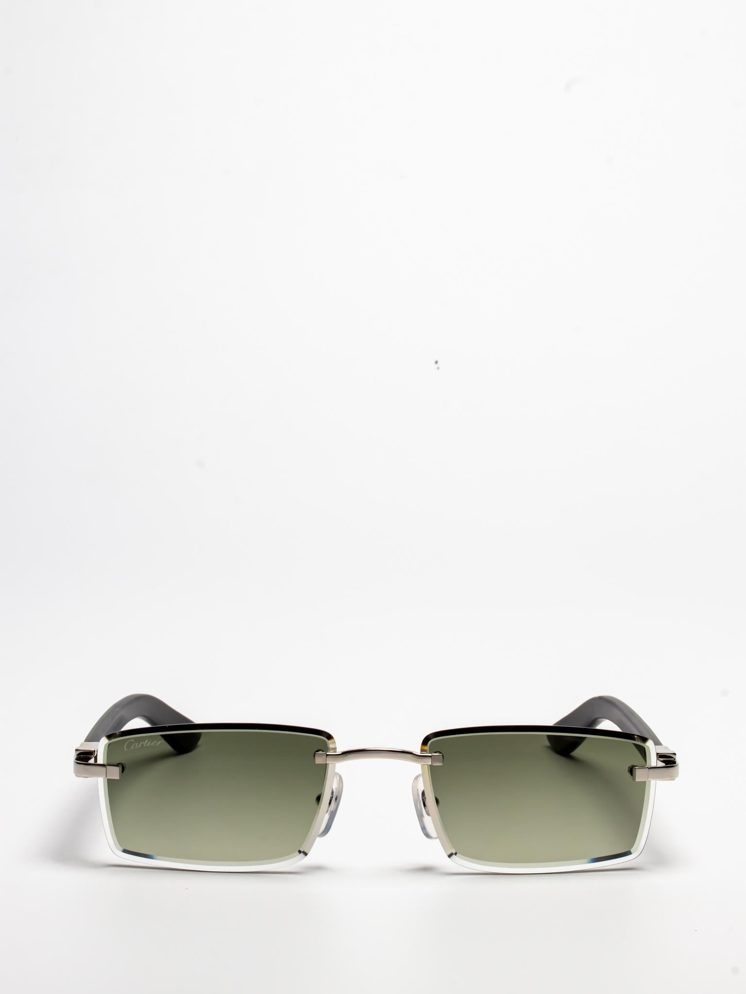 CT0582S 005 | C DÉCOR | WOOD SUNGLASSES