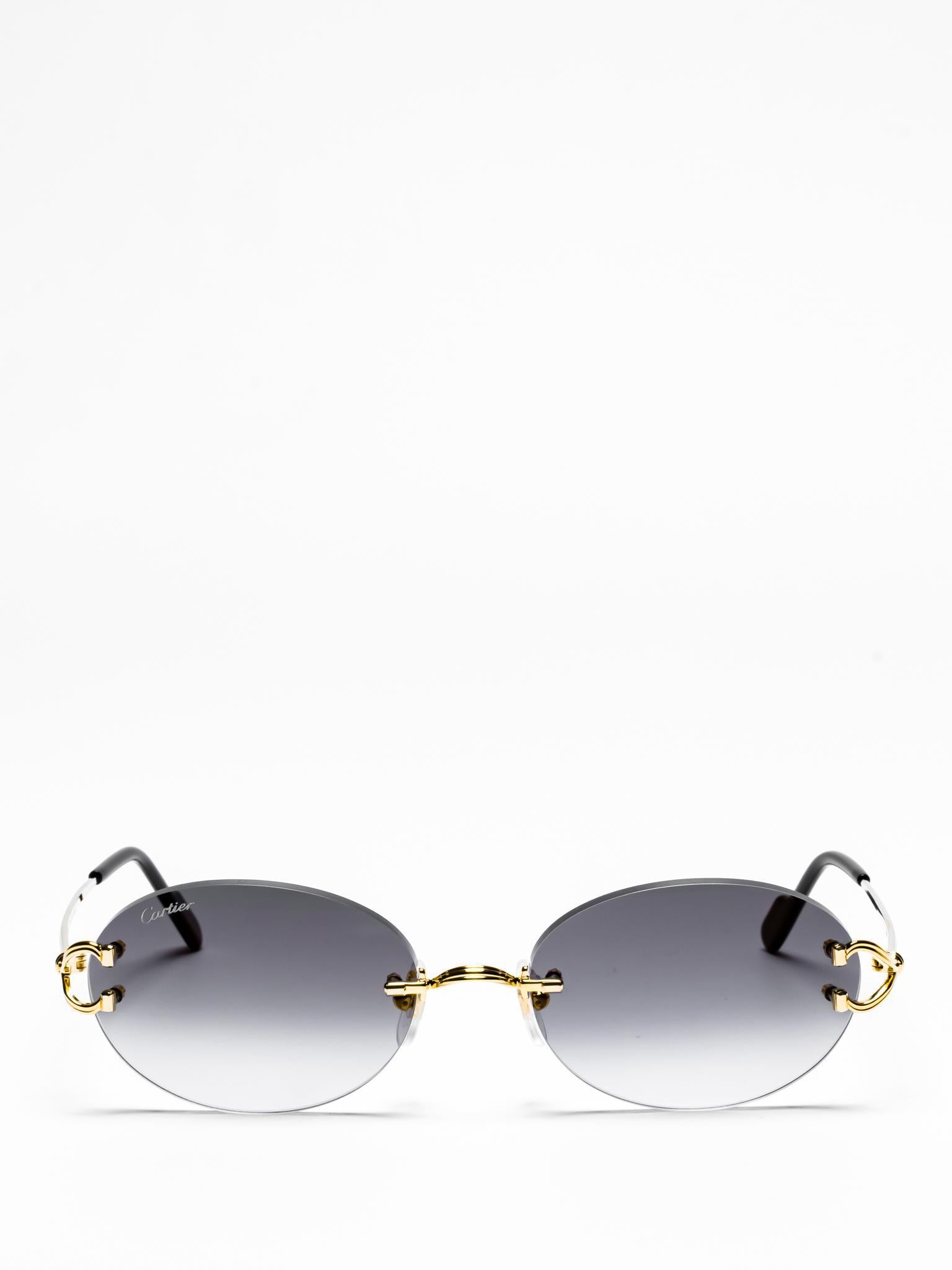 CT0551S 001 | C DÉCOR SUNGLASSES