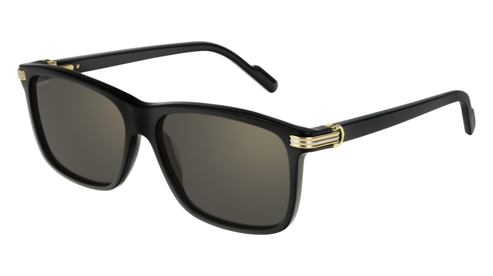 PREMIÈRE DE CARTIER SUNGLASSES | CT0160S 001
