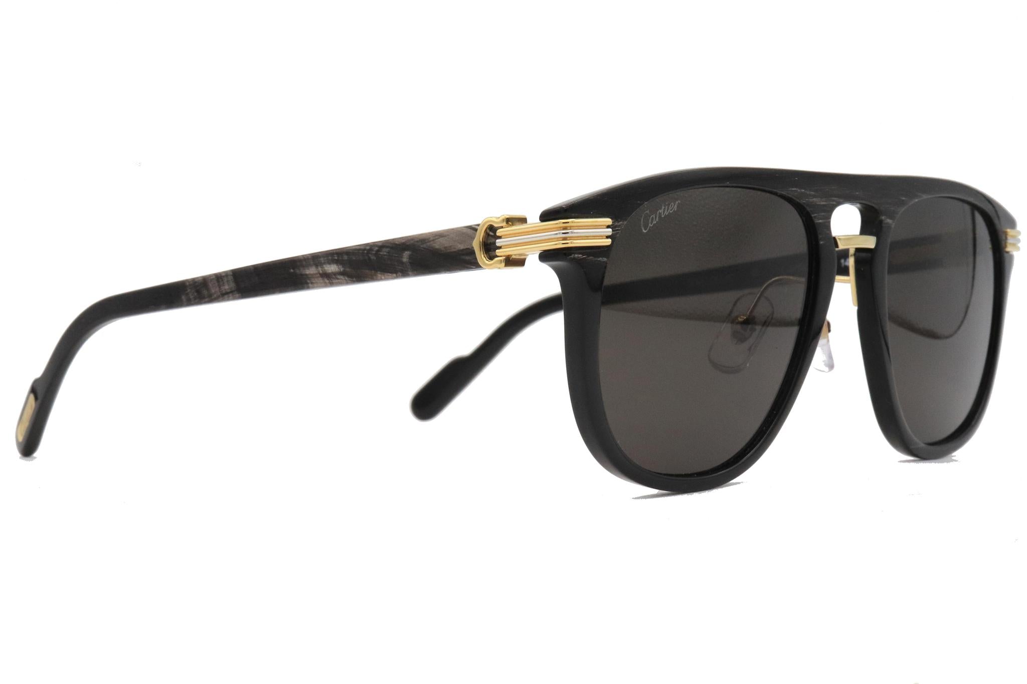PREMIÈRE DE CARTIER SUNGLASSES | CT0200S 001