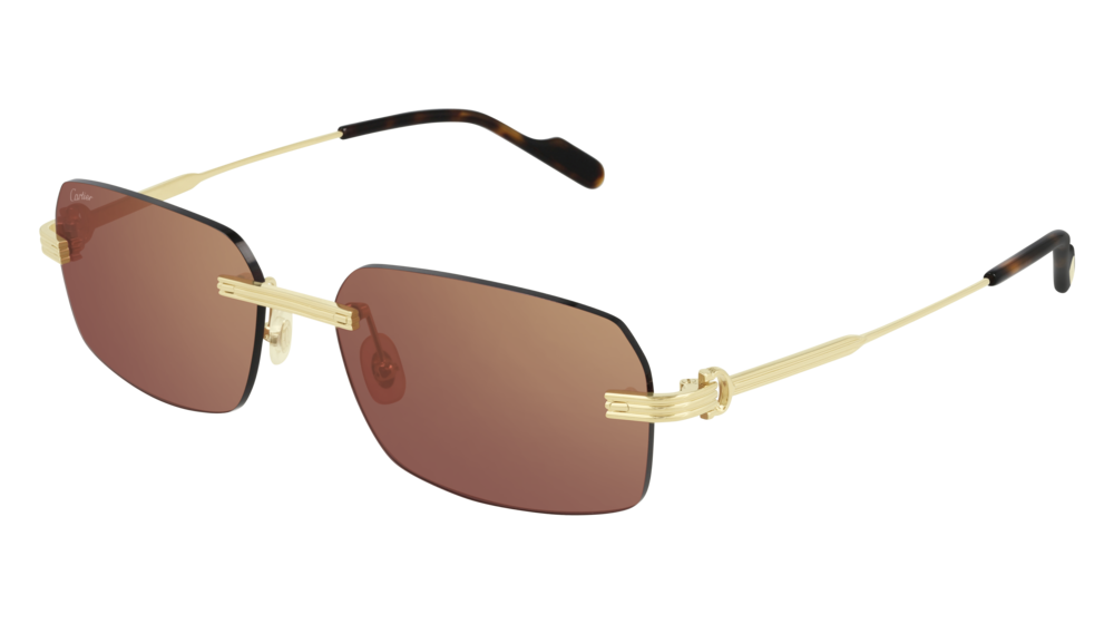 CARTIER | PREMIÈRE DE CARTIER SUNGLASSES | CT0271S 004