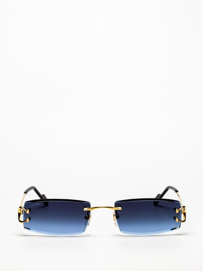 CT0465S 002 | C DÉCOR SUNGLASSES