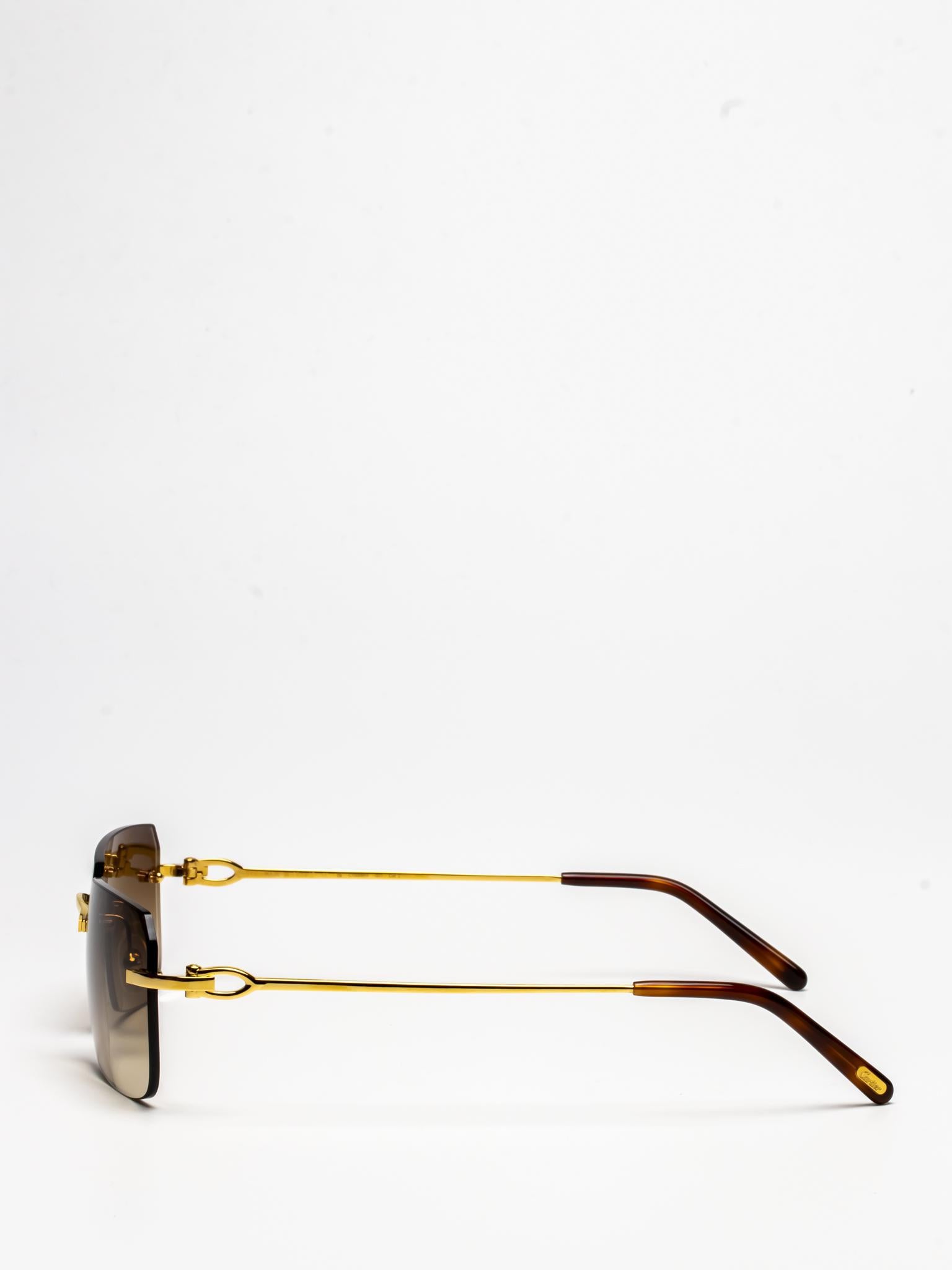 CT0006RS 001 | C DÉCOR SUNGLASSES