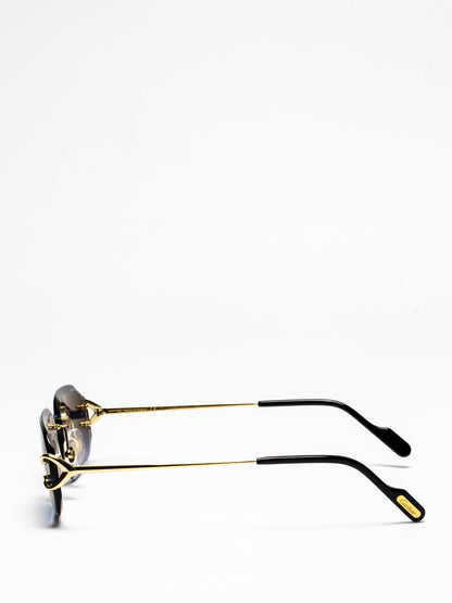 CT0468S 002 C DÉCOR SUNGLASSES