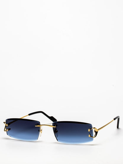 CT0465S 002 | C DÉCOR SUNGLASSES