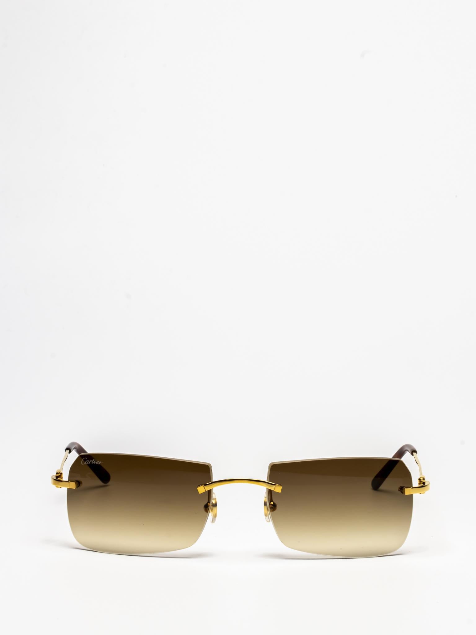 CT0006RS 001 | C DÉCOR SUNGLASSES