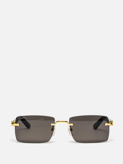 CT0579S 001 C DÉCOR SUNGLASSES
