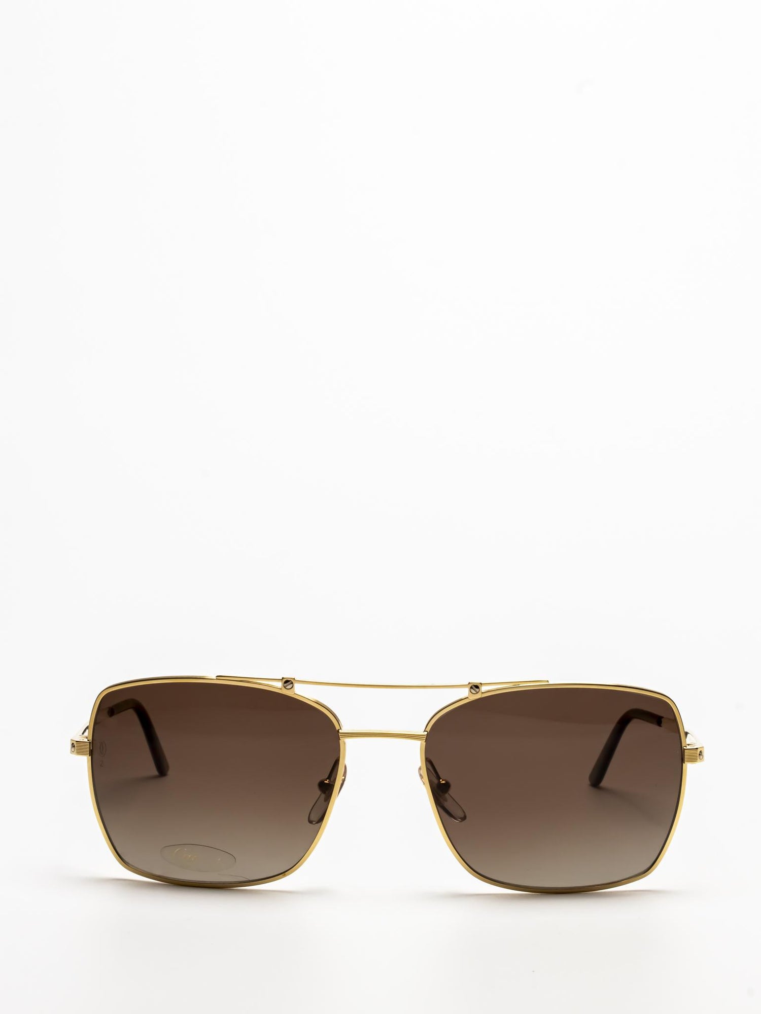 CT0084S 001 | SANTOS SUNGLASSES