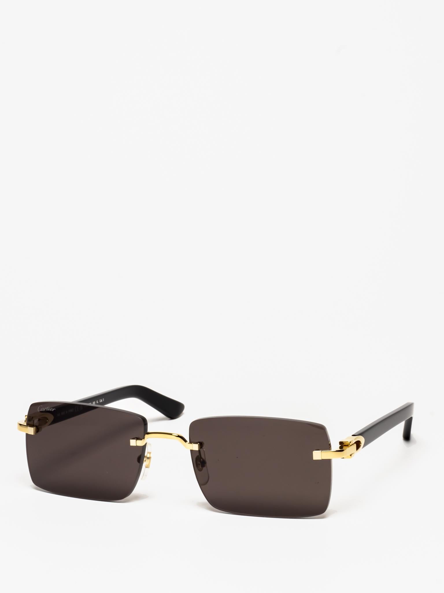 CT0579S 005 C DÉCOR SUNGLASSES