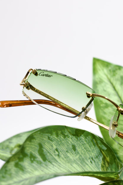 CARTIER C DÉCOR GOLD CUSTOM LENSES - CT0092O - Customized by Hall of Frames