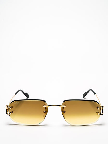 CT0468S 004 | C DÉCOR SUNGLASSES