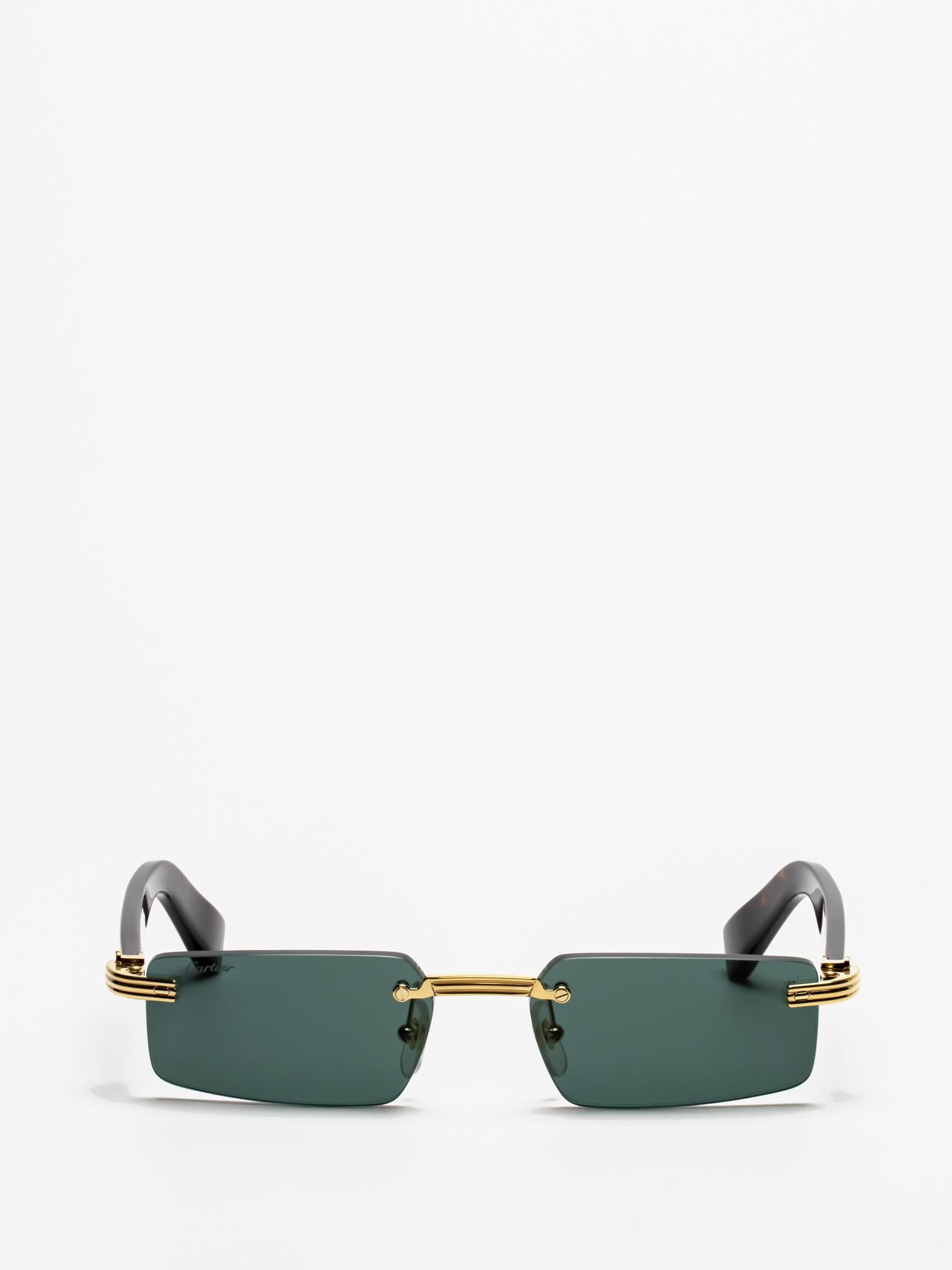 CT0537S 002 PREMIÈRE DE CARTIER SUNGLASSES