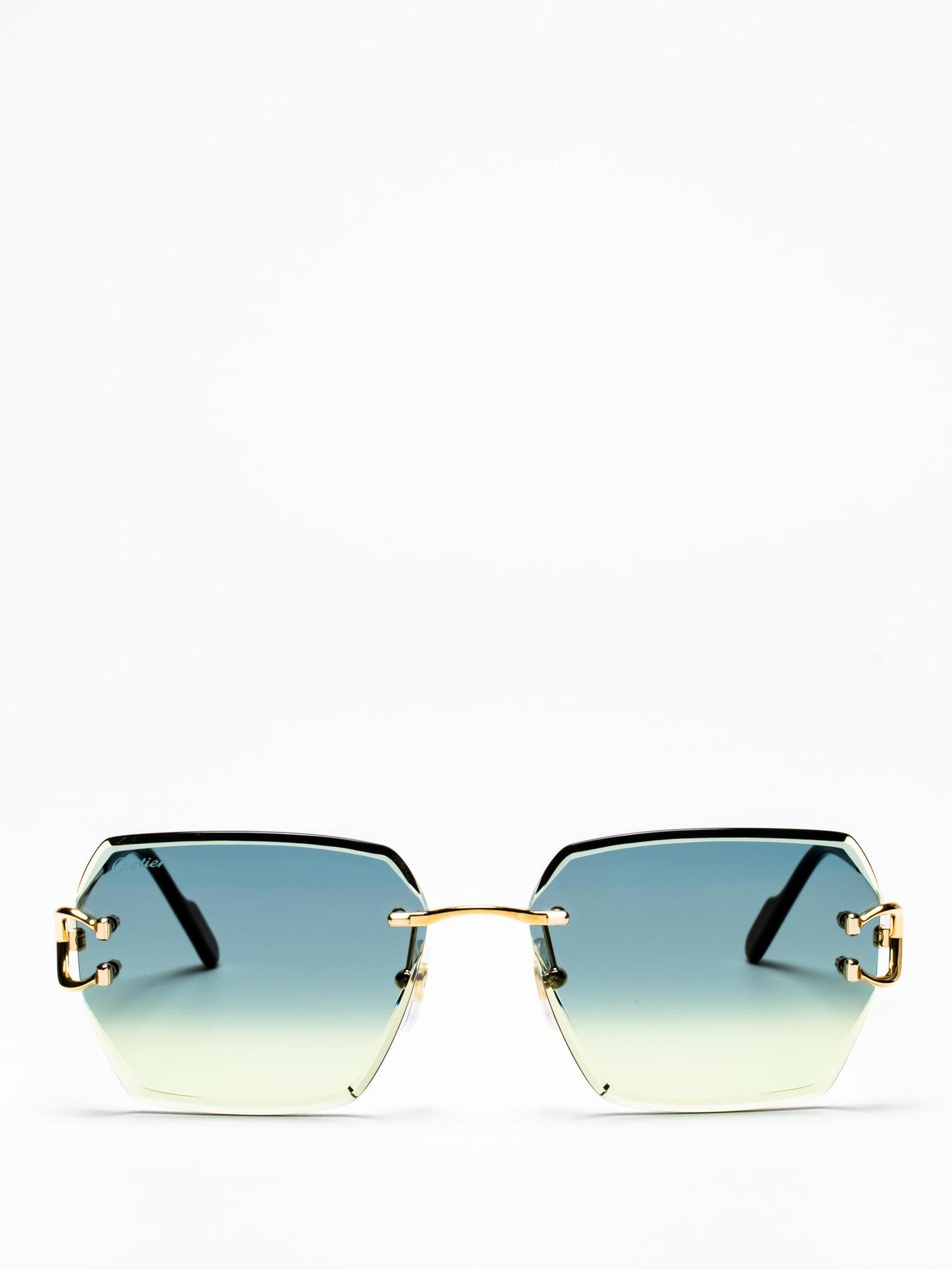 CT0466S 003 | C DÉCOR SUNGLASSES