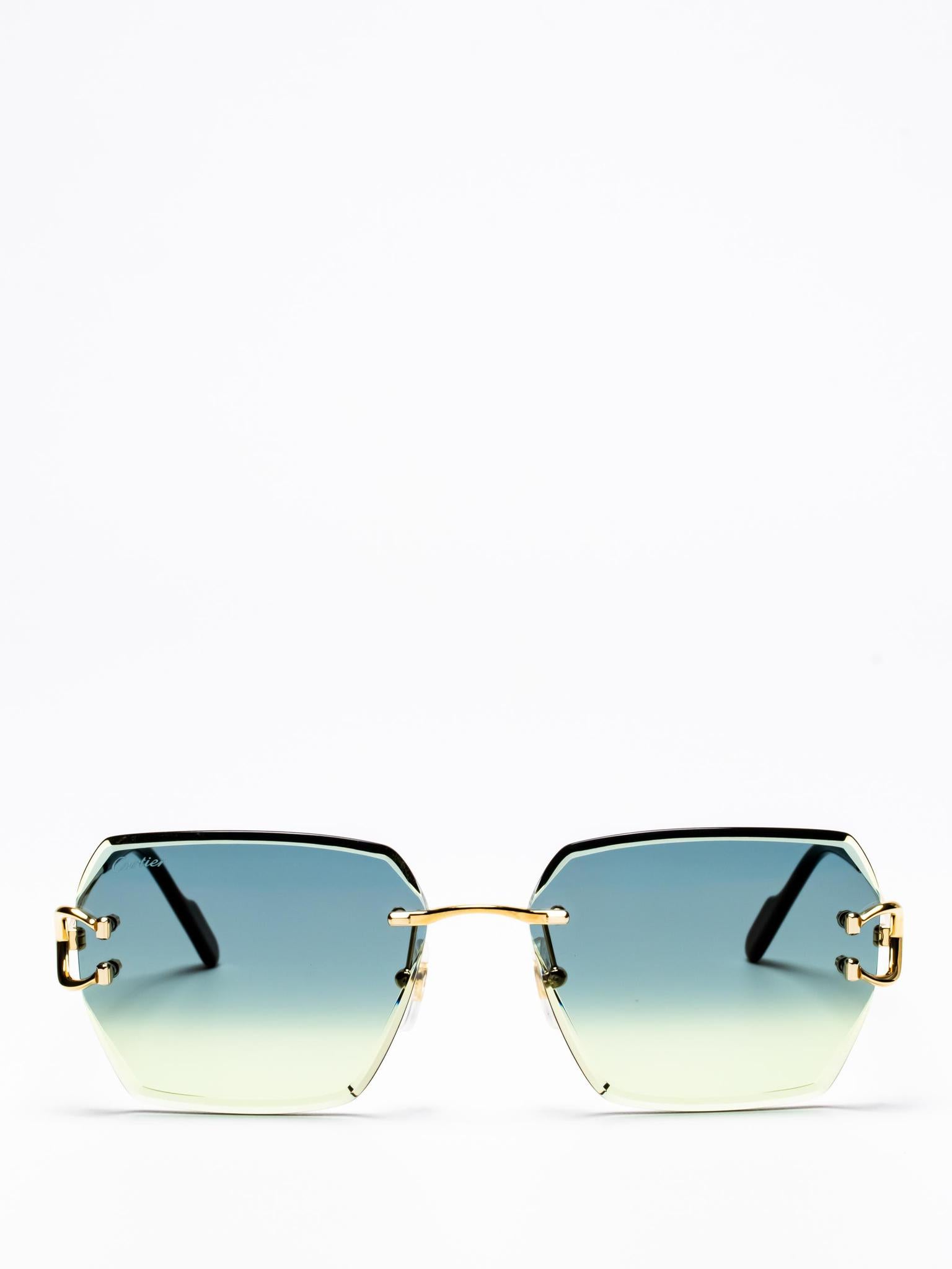 CT0466S 003 | C DÉCOR SUNGLASSES