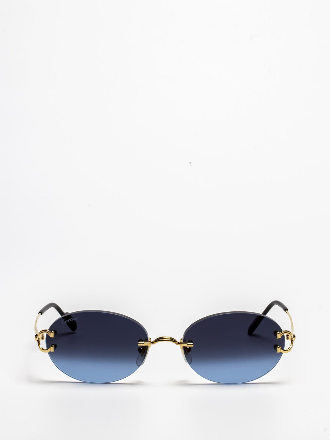 CT0551S 002 C DÉCOR SUNGLASSES