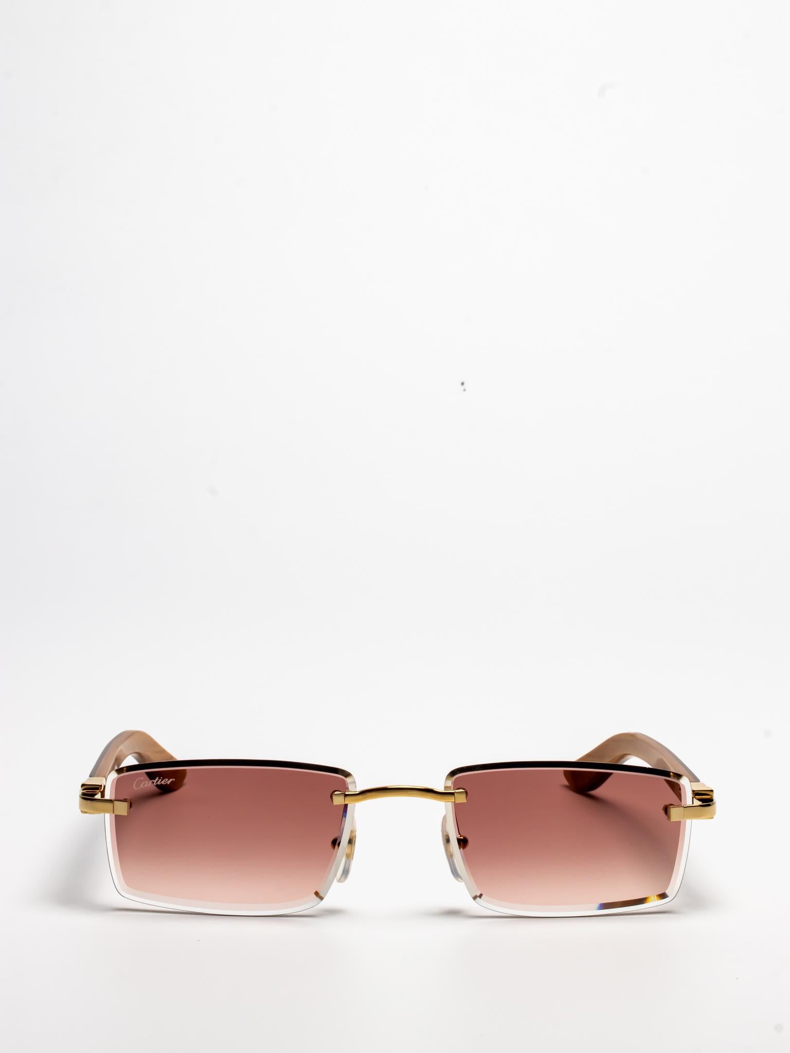 CARTIER | CT0582S 002 | C DÉCOR | WOOD SUNGLASSES – Hall of Frames
