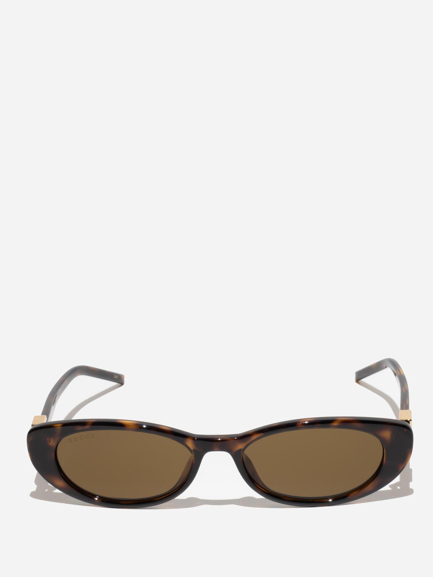 GUCCI | GG1680S 004 | HAVANA | SUNGLASSES